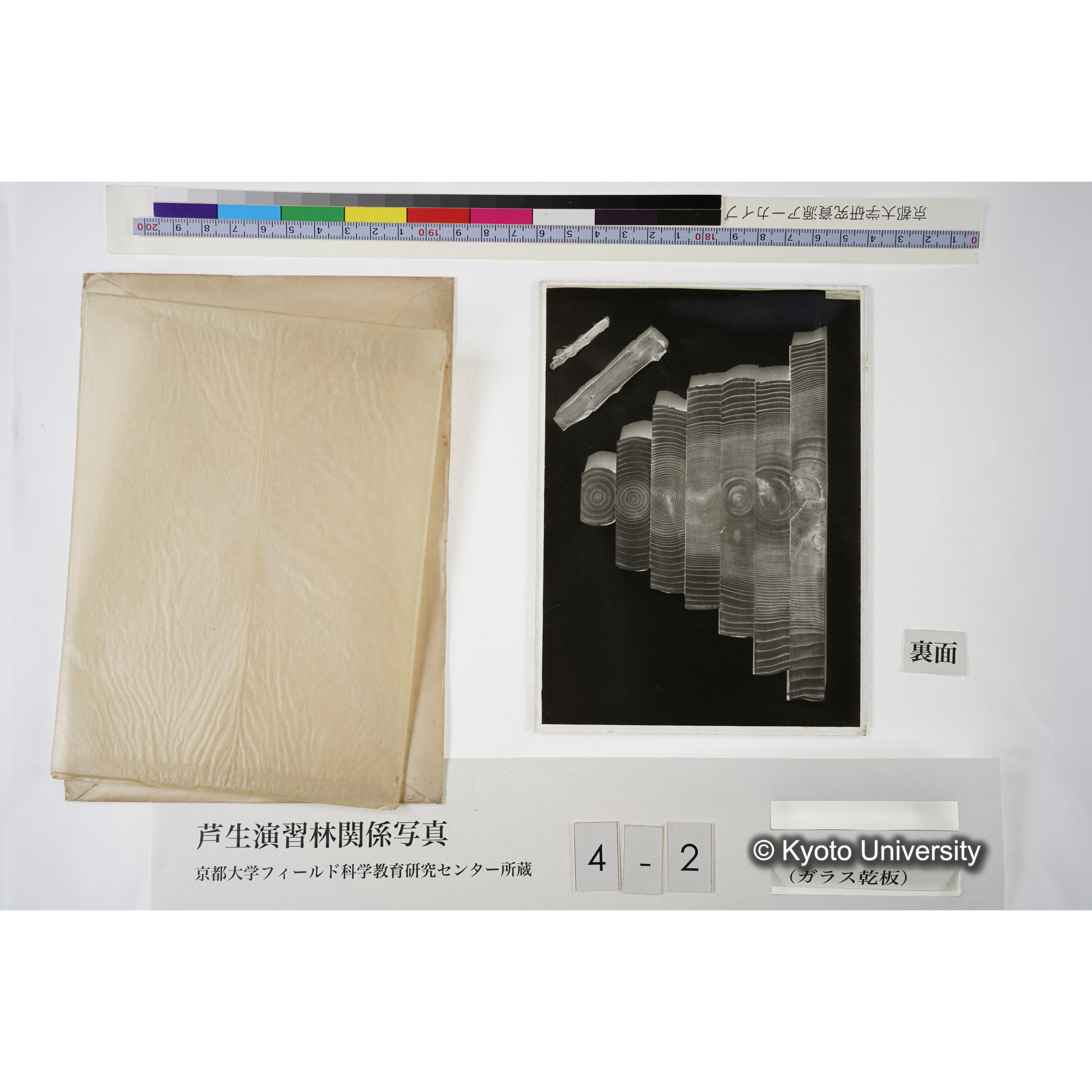 (スタンプ)「835」, (ペン書き)「00449」. [木の年輪の模型か.] (6)