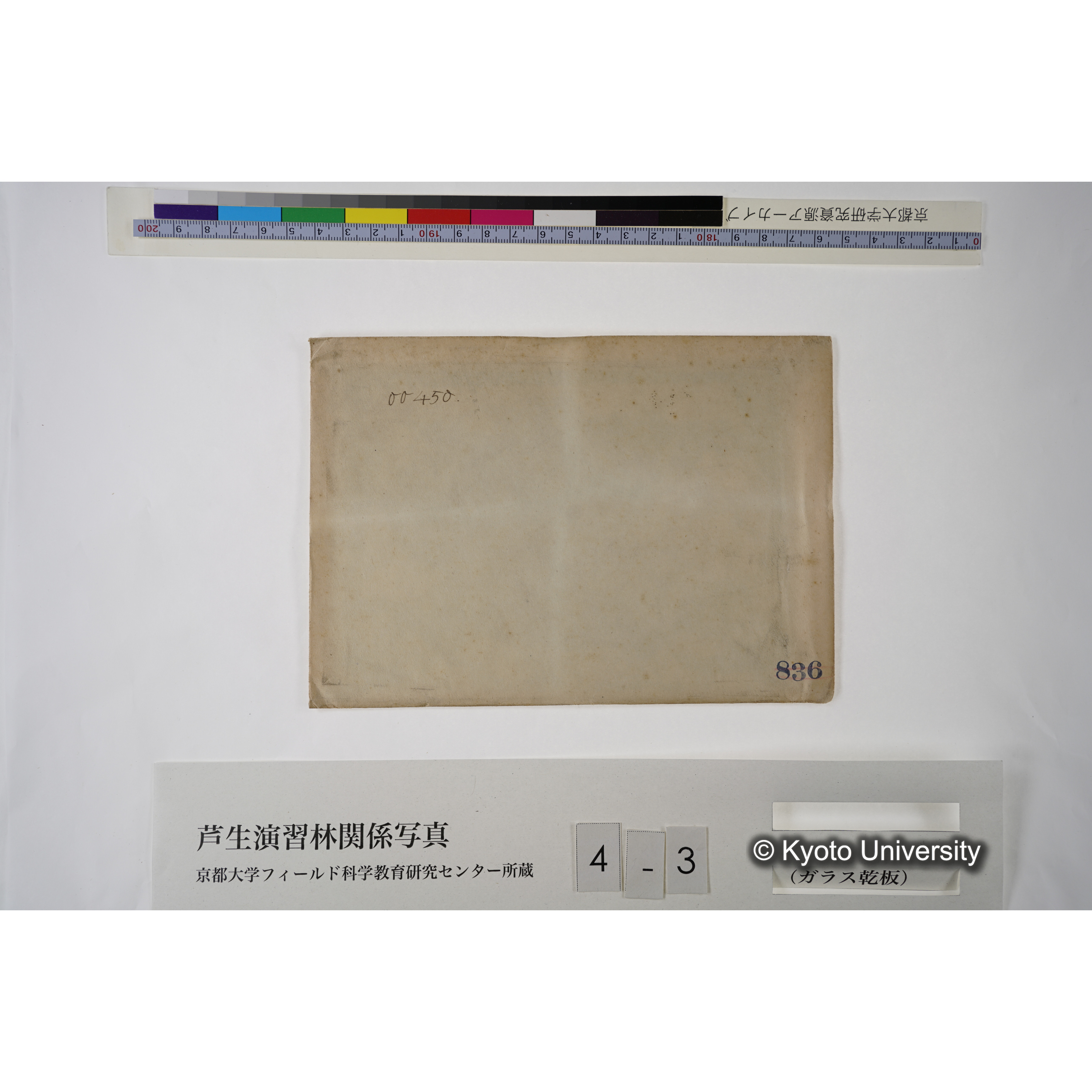 芦生演習林模型（白色部分ガ演習林ナリ） (1)