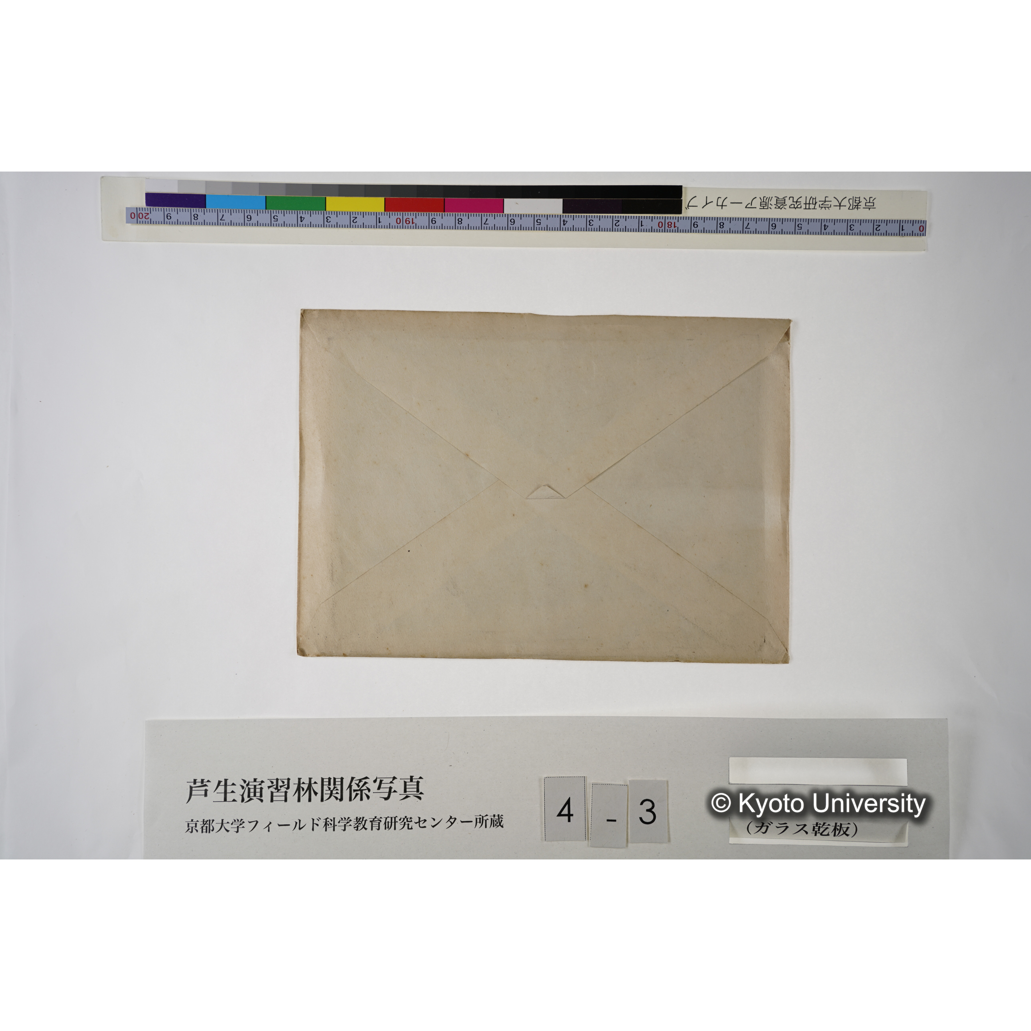 芦生演習林模型（白色部分ガ演習林ナリ） (2)