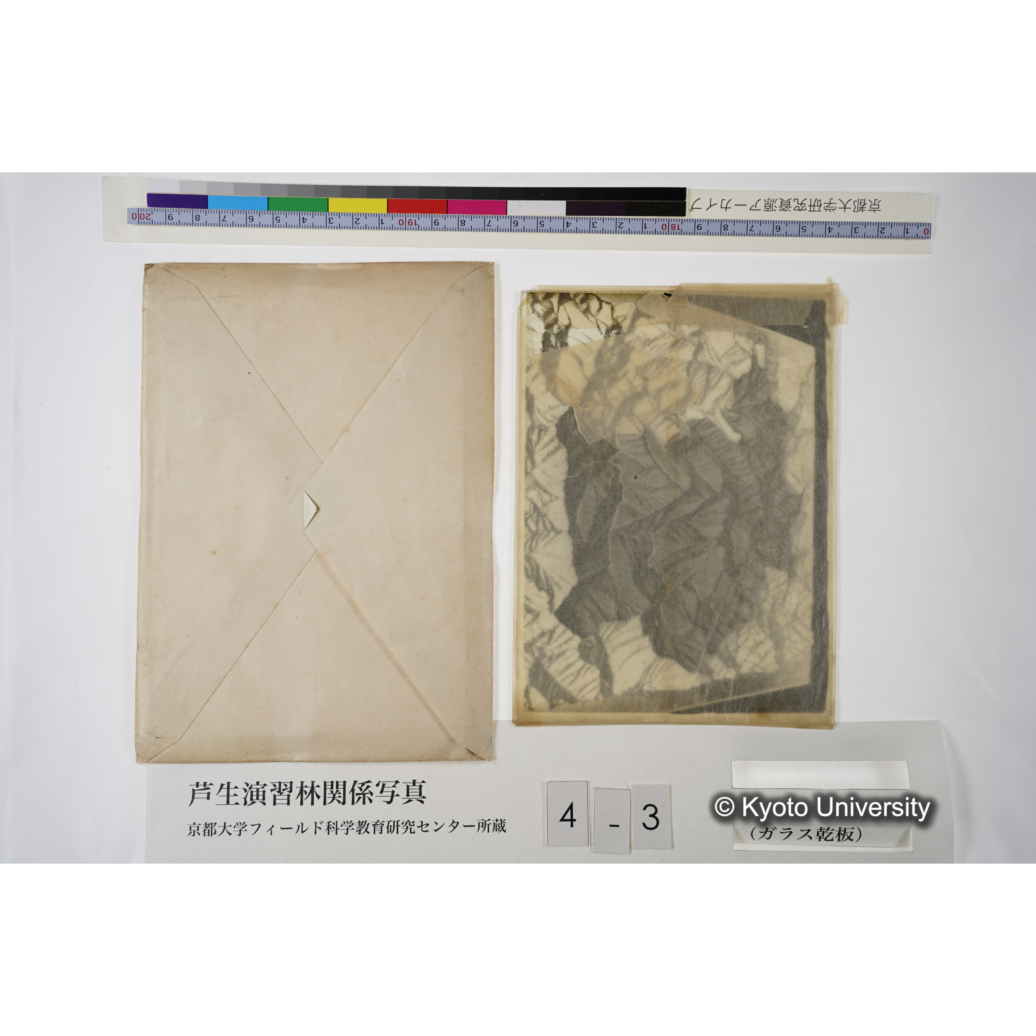 芦生演習林模型（白色部分ガ演習林ナリ） (3)