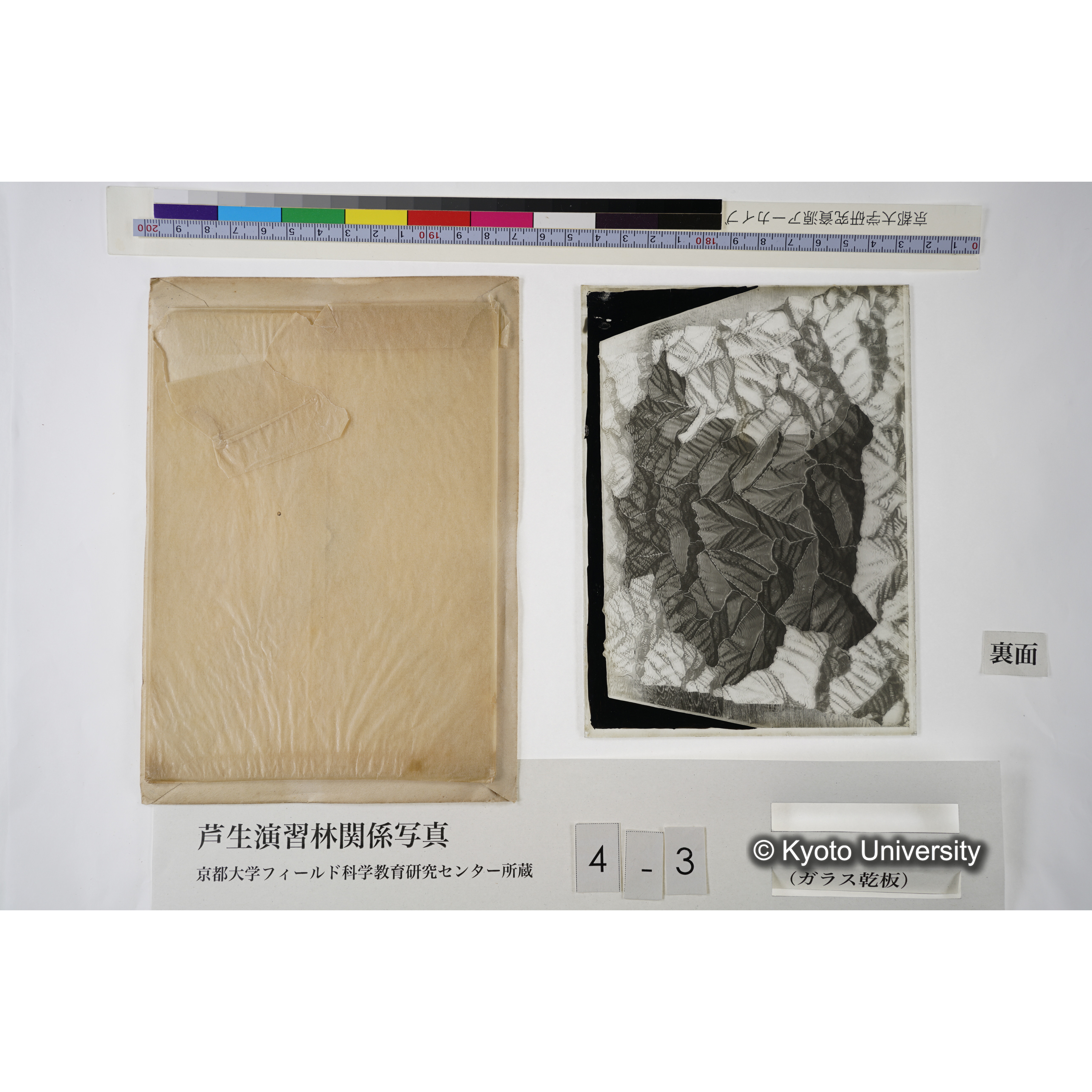 芦生演習林模型（白色部分ガ演習林ナリ） (4)