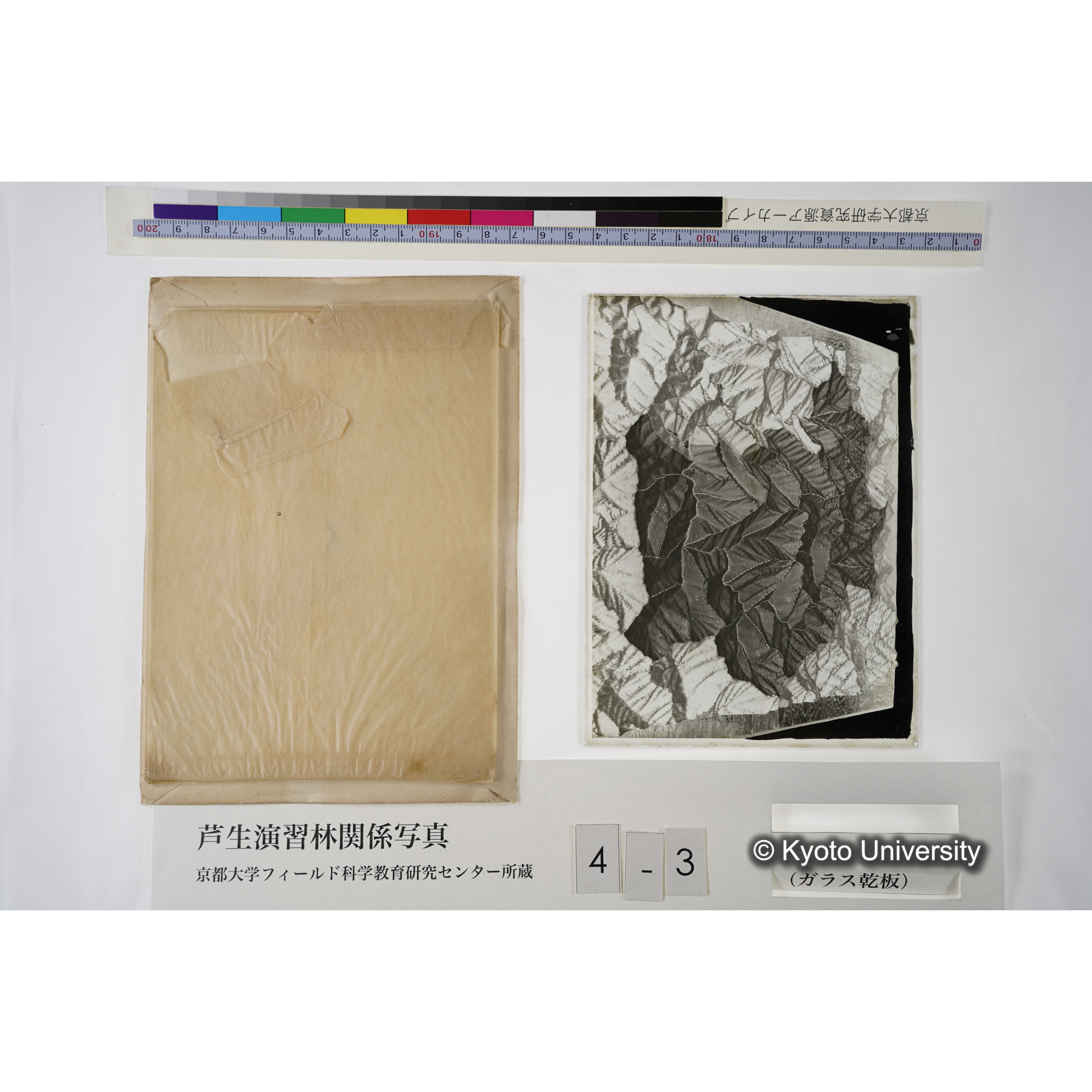 芦生演習林模型（白色部分ガ演習林ナリ） (5)