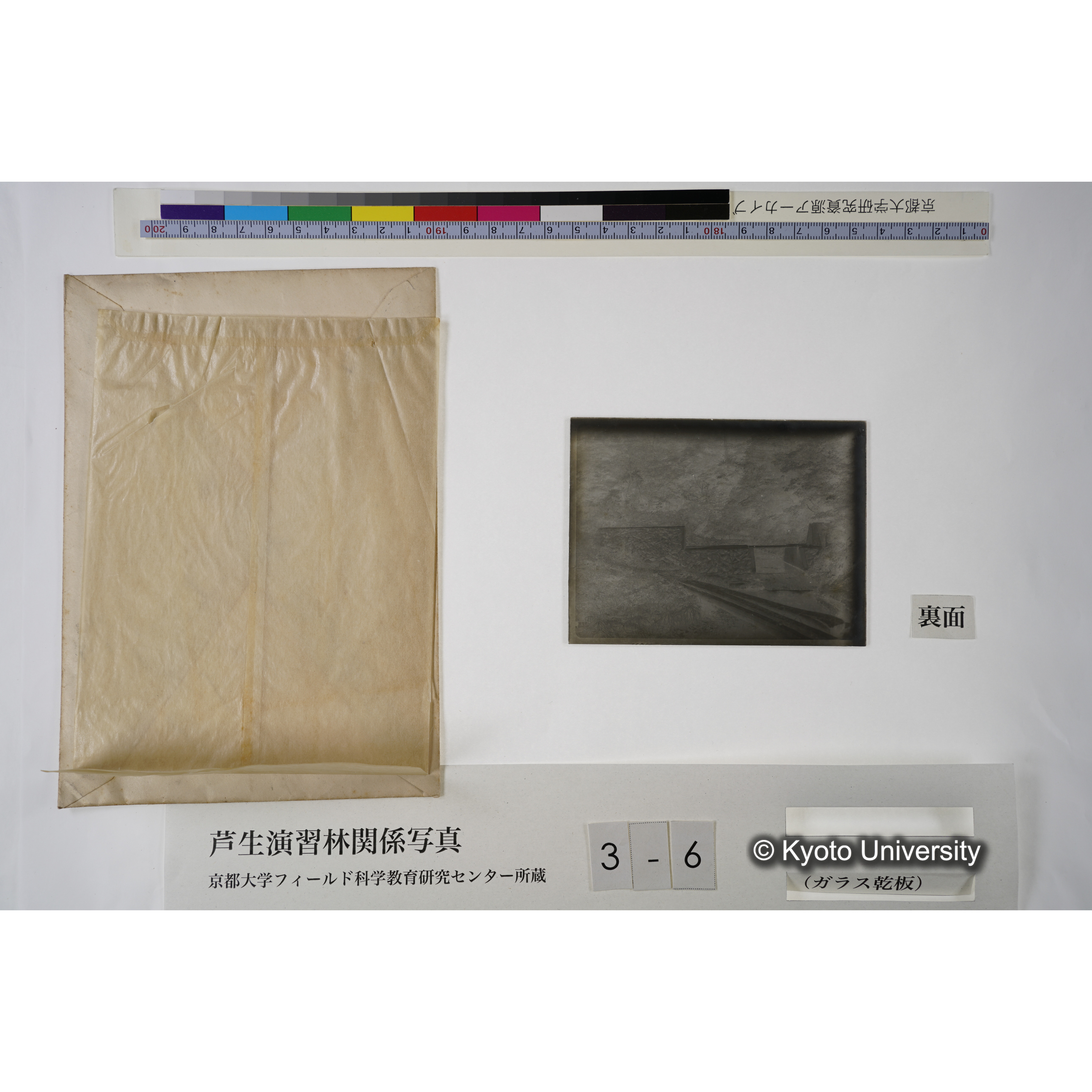 芦生・中山. ダム（小）. (見せ消ち)「340」. (3)