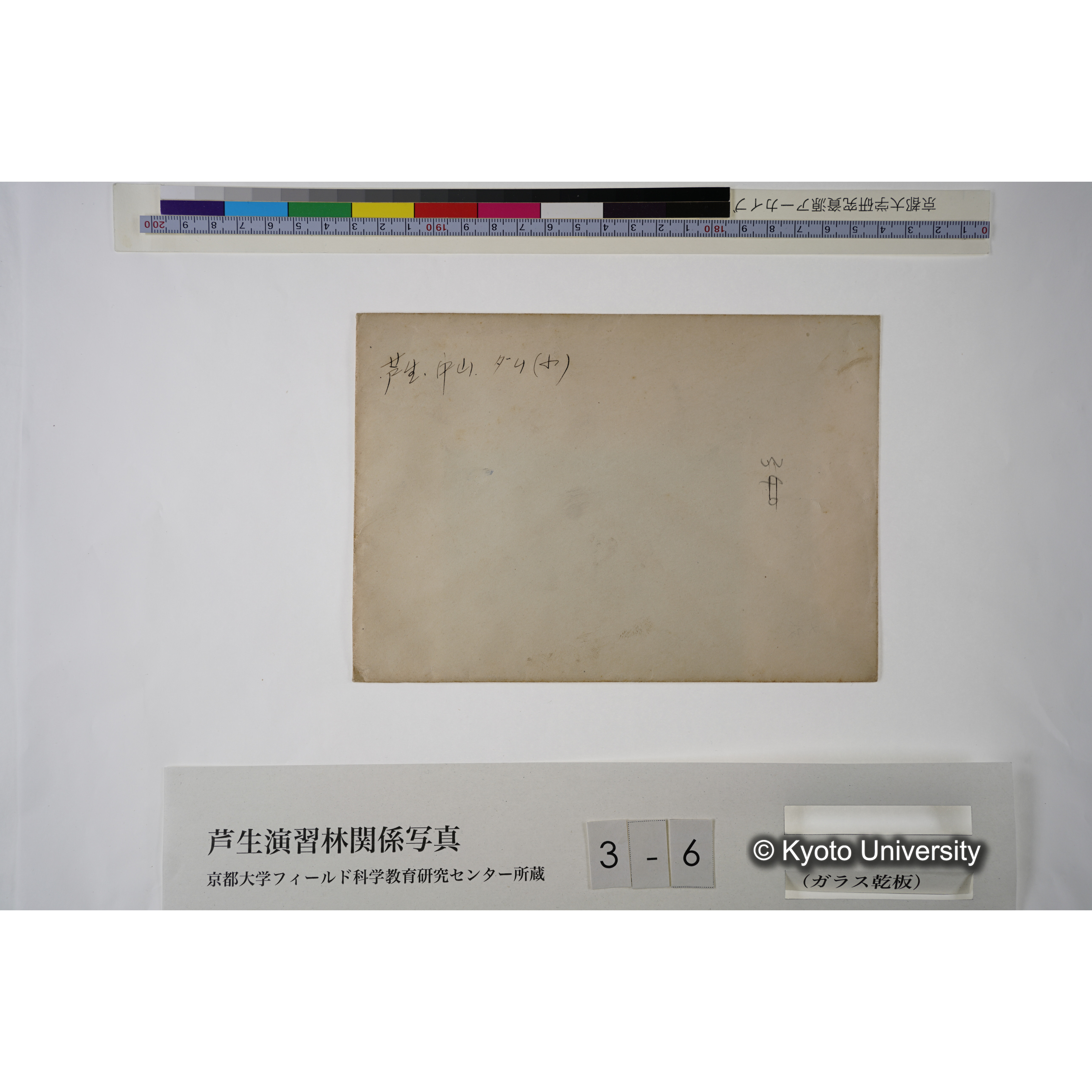 芦生・中山. ダム（小）. (見せ消ち)「340」. (4)