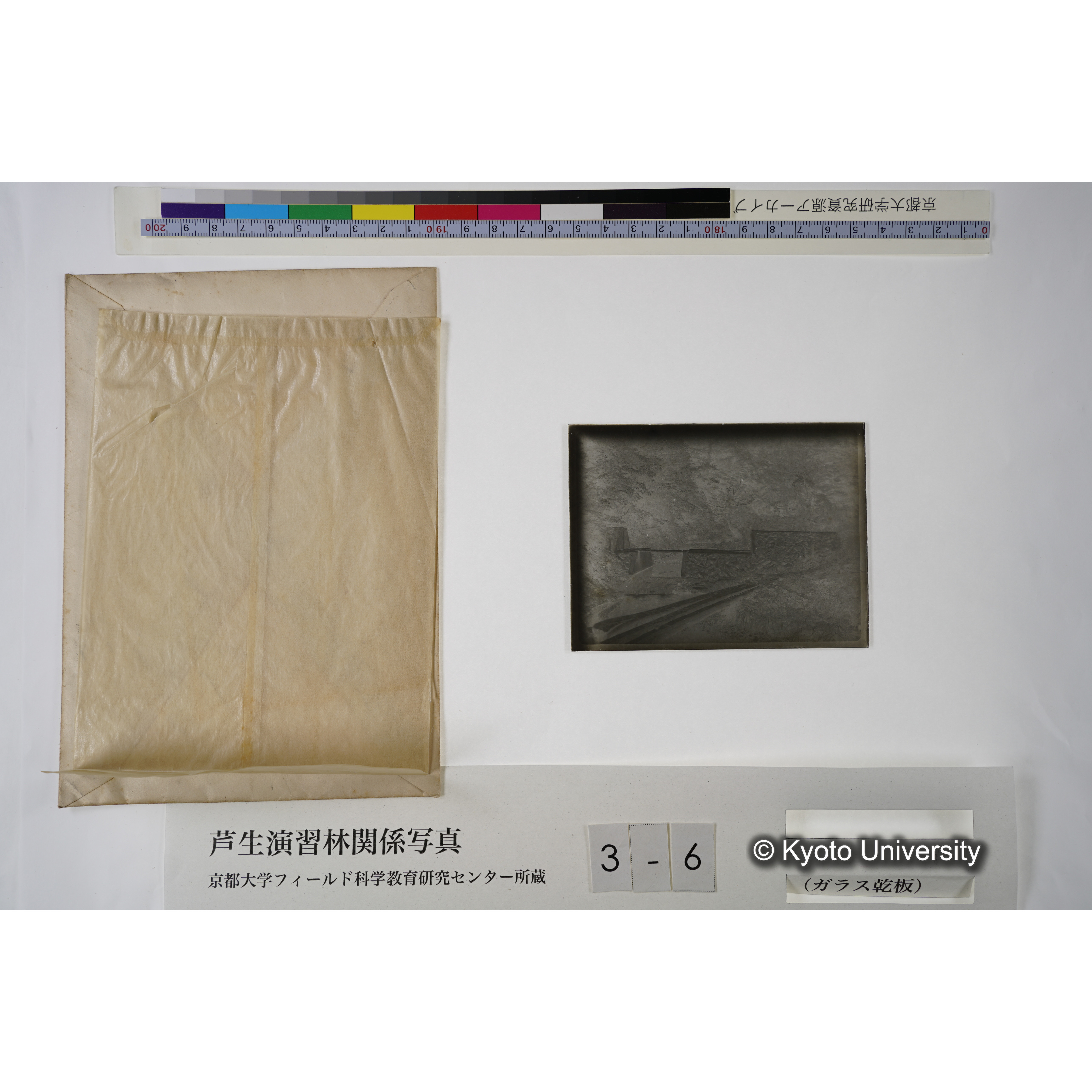 芦生・中山. ダム（小）. (見せ消ち)「340」. (5)