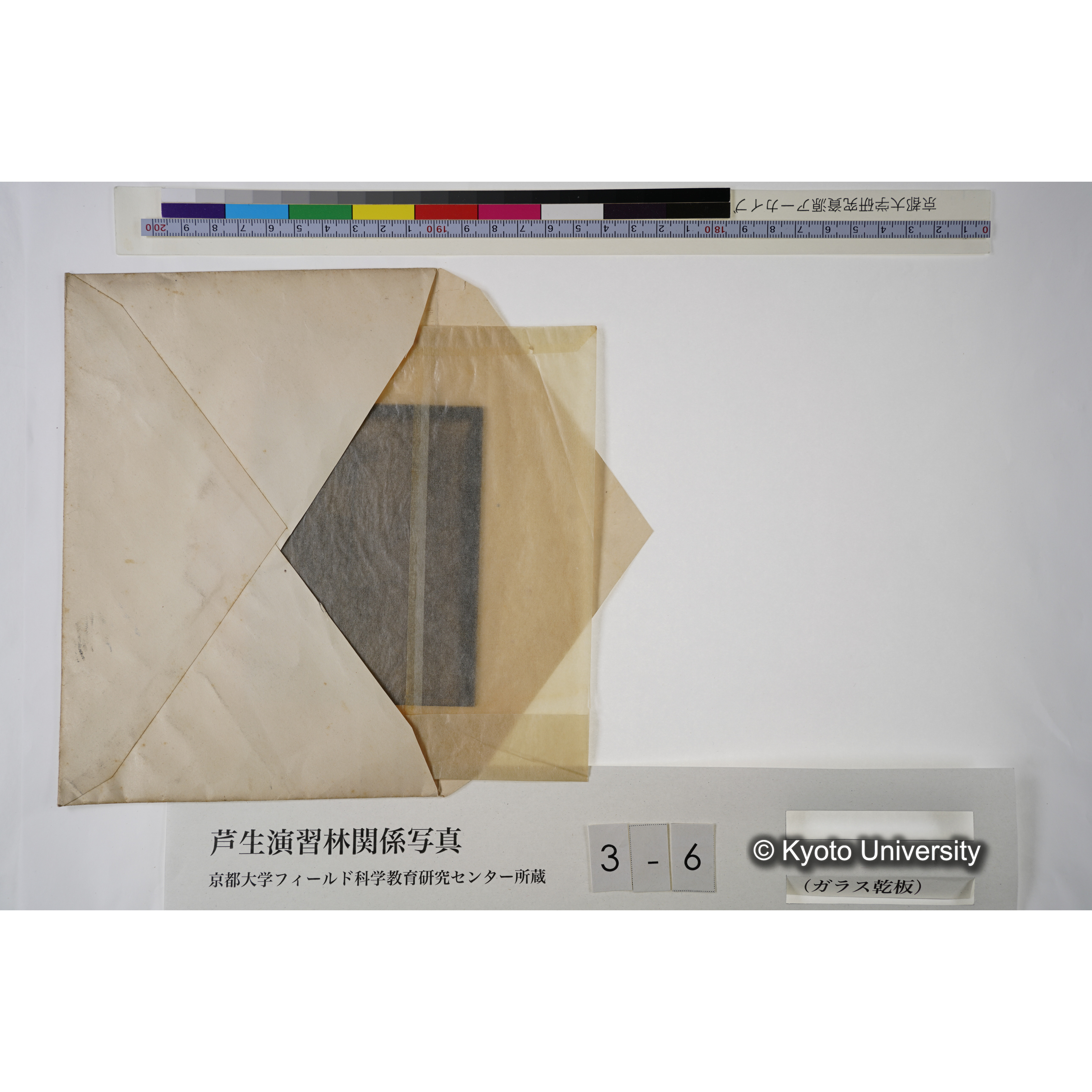 芦生・中山. ダム（小）. (見せ消ち)「340」. (6)