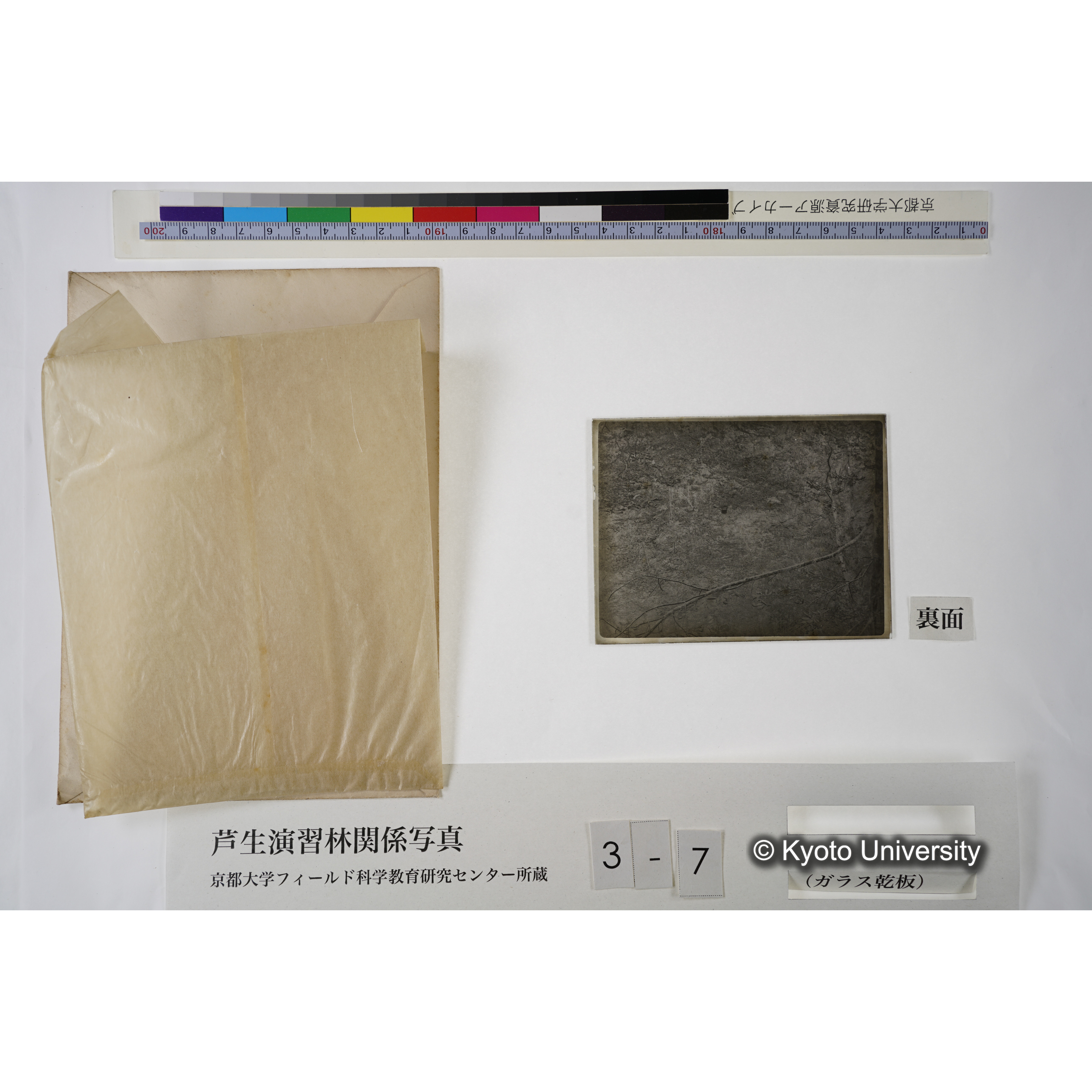 芦生・中山. 雨量計. (見せ消ち)「338」. (4)