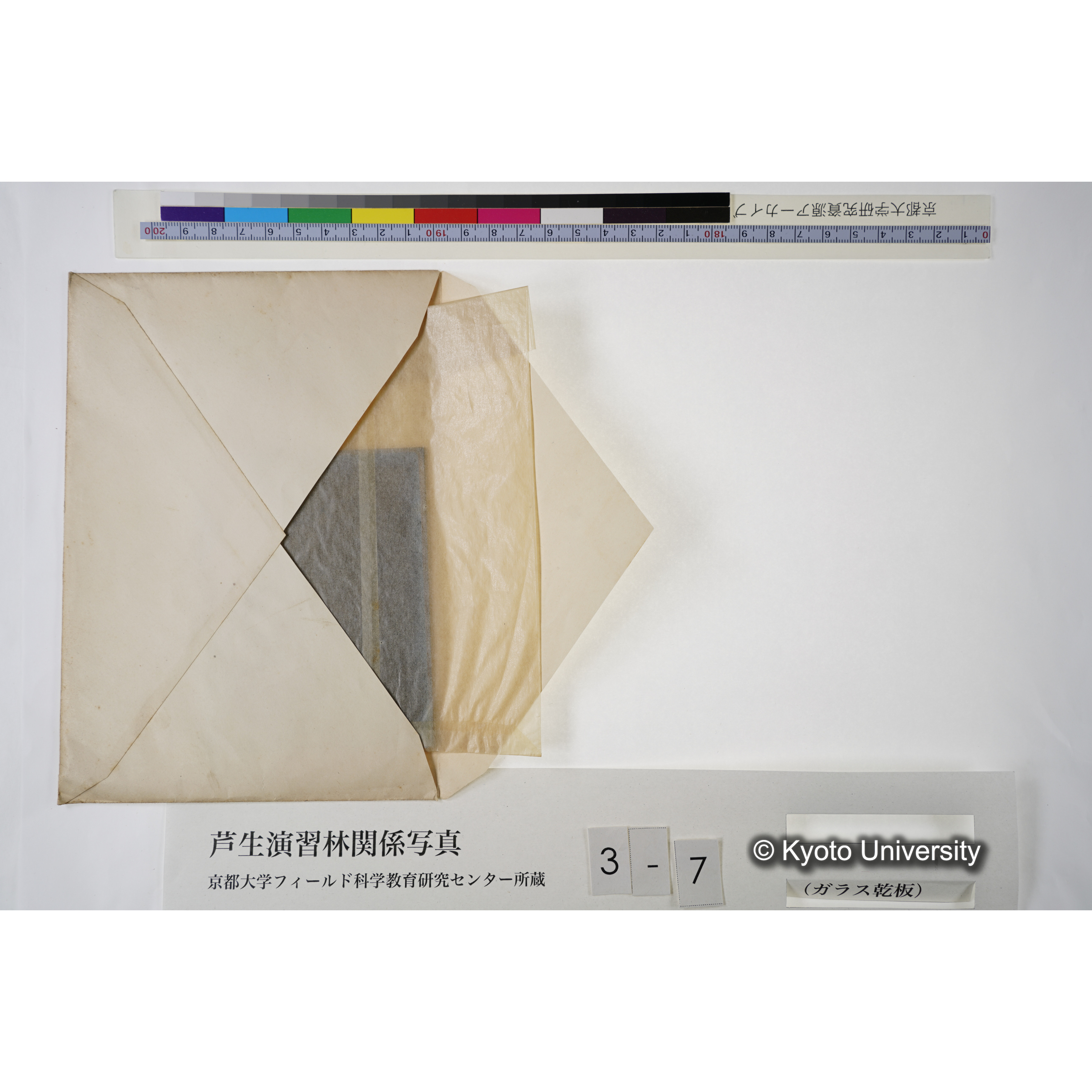 芦生・中山. 雨量計. (見せ消ち)「338」. (5)