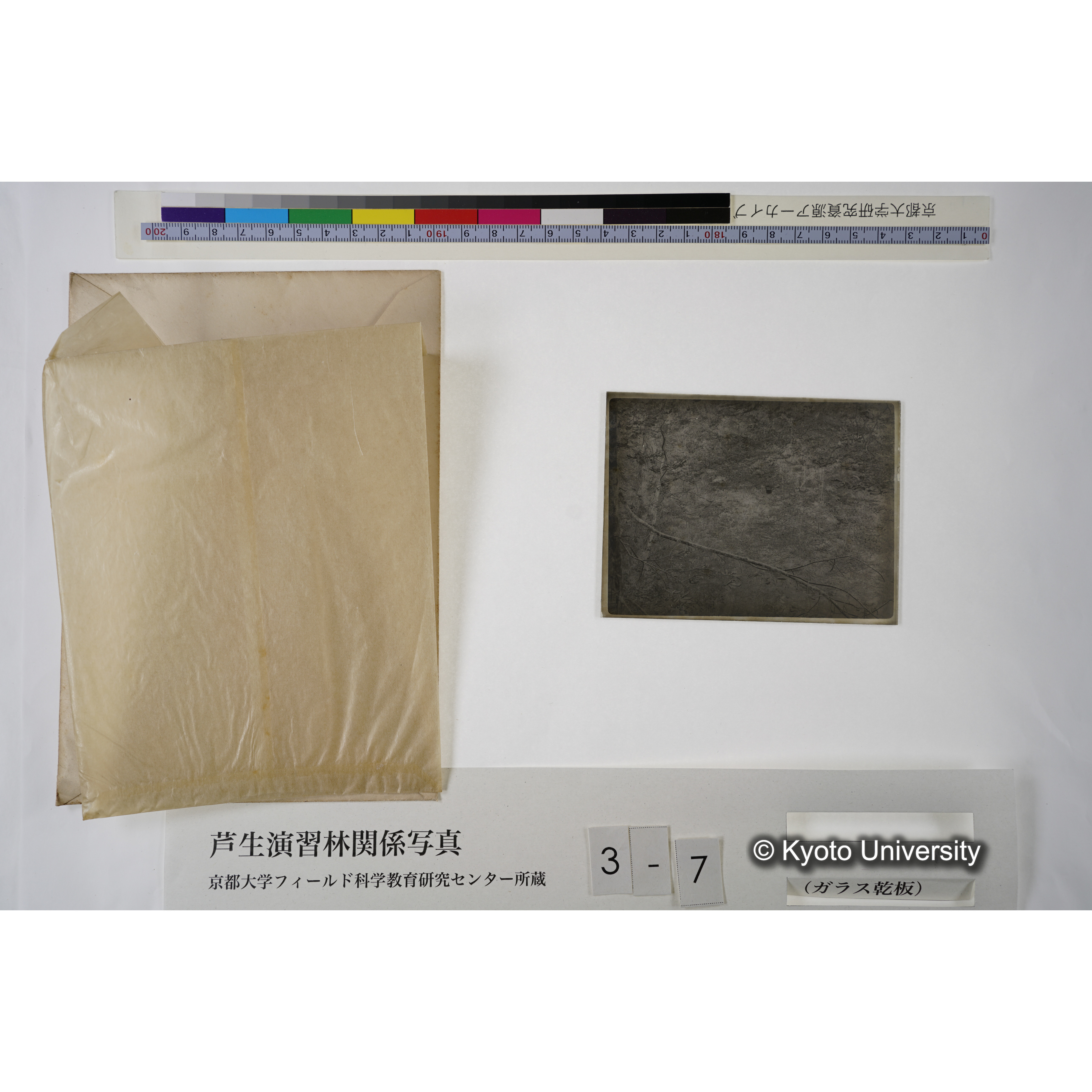 芦生・中山. 雨量計. (見せ消ち)「338」. (6)