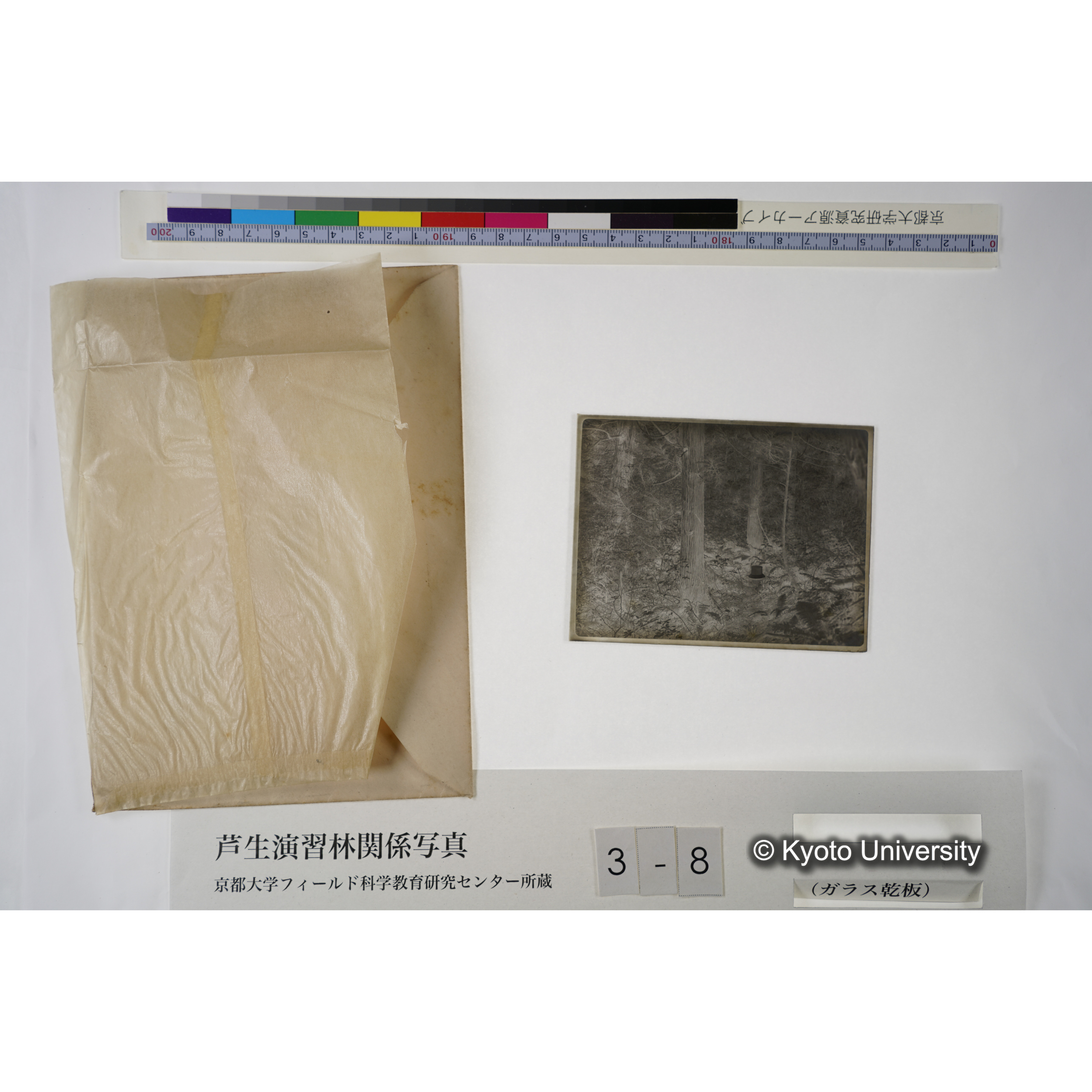 芦生・中山. 雨量計. (見せ消ち)「327」. (6)