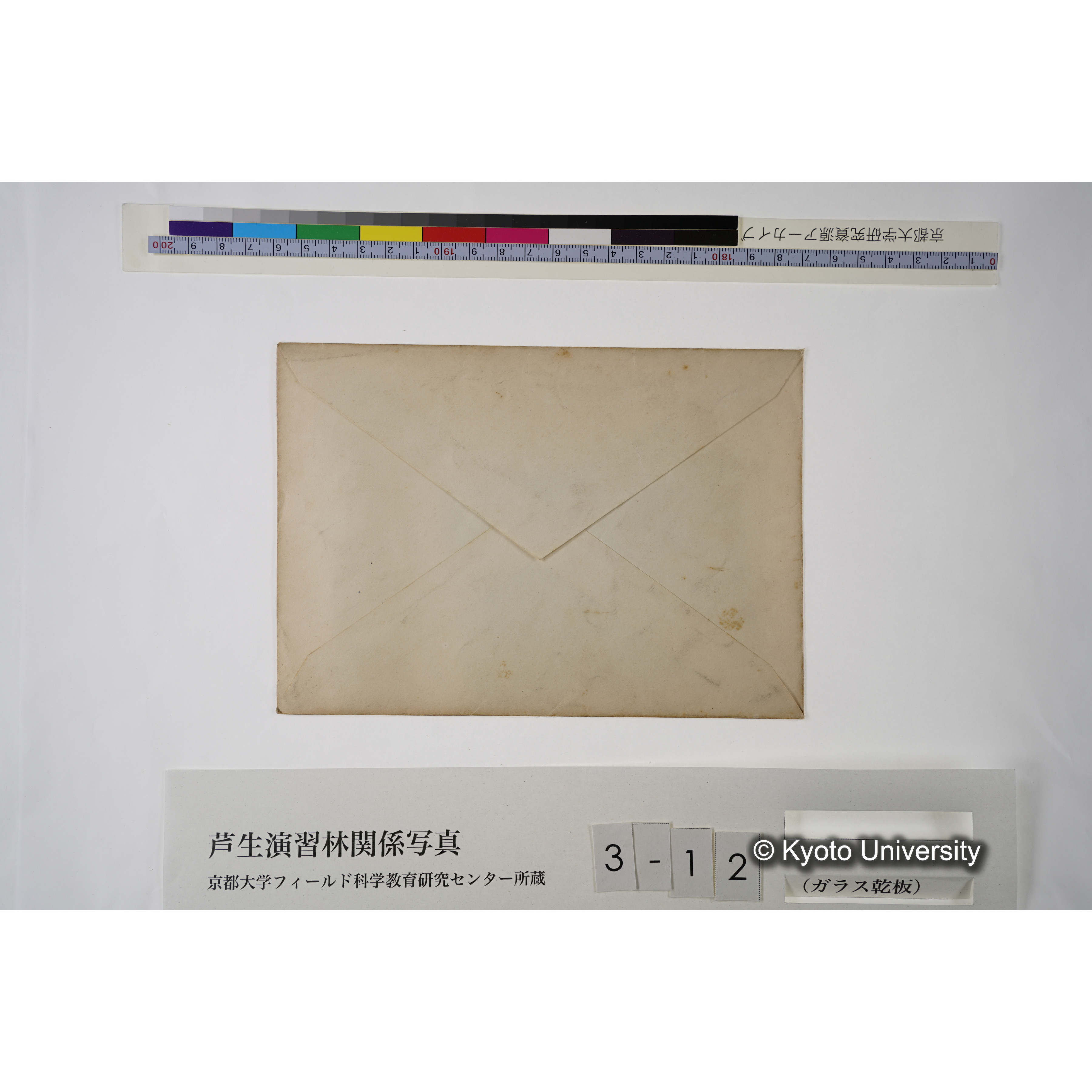 出會（ヒカゲツヽジ群生） (3)