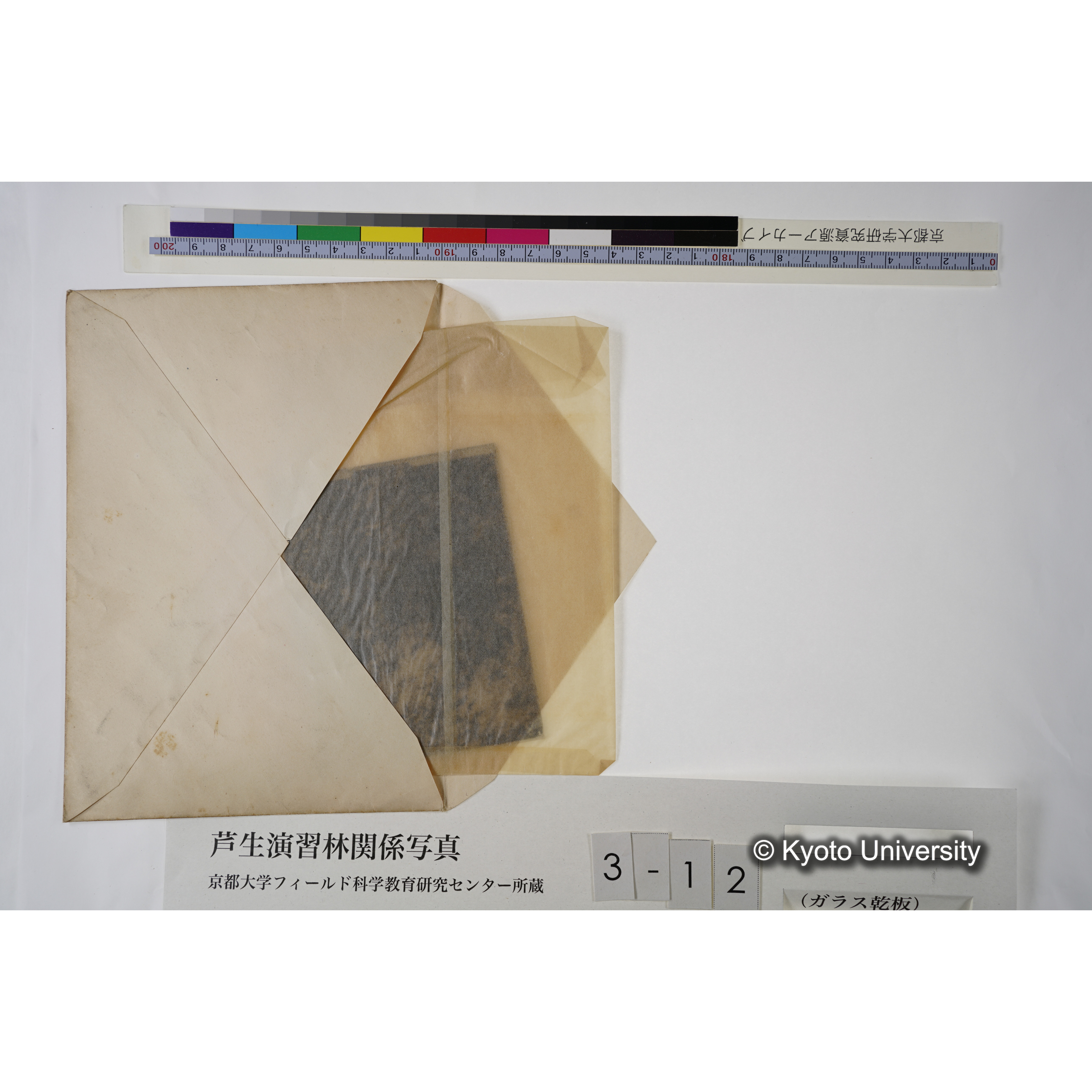 出會（ヒカゲツヽジ群生） (6)