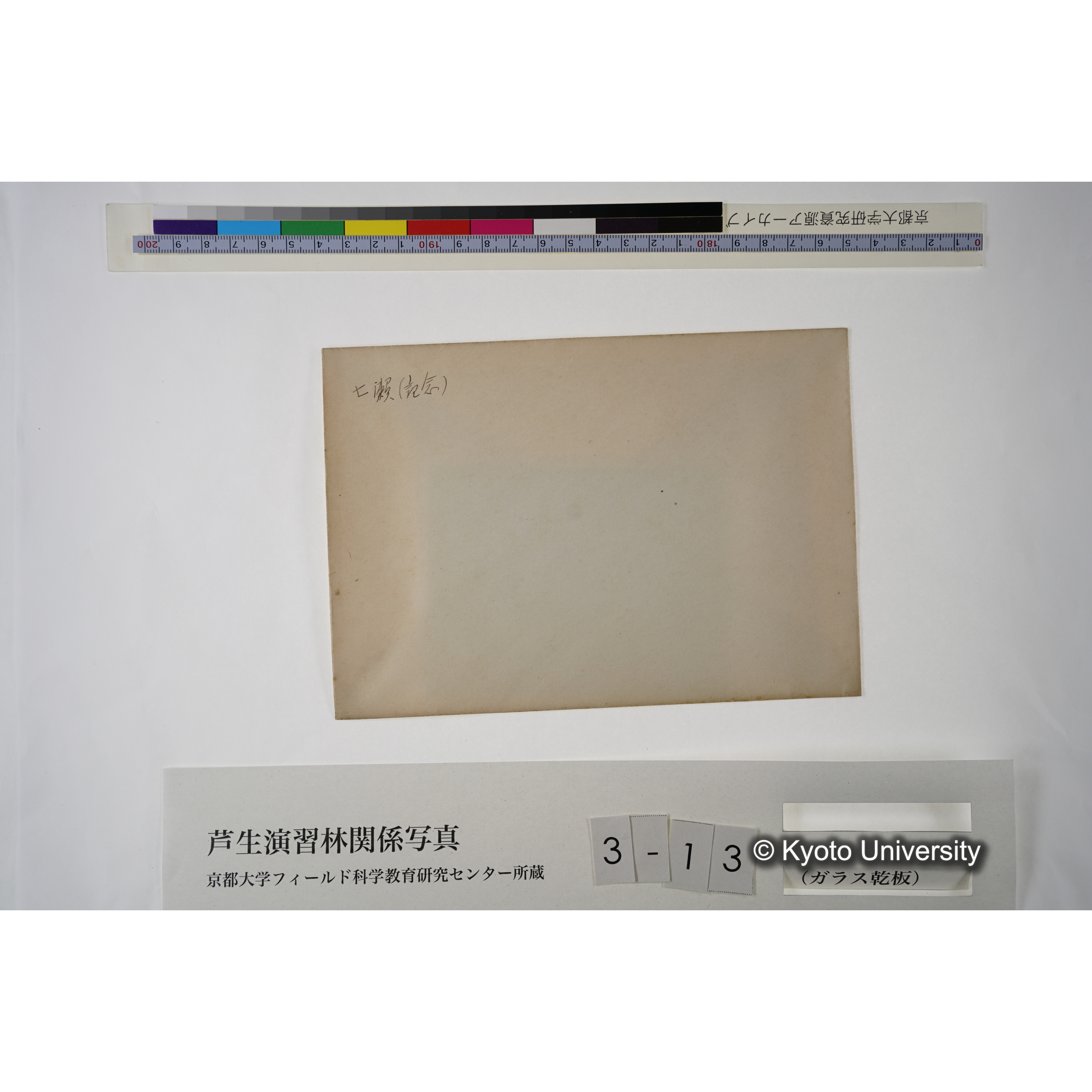 七瀬（記念） (4)