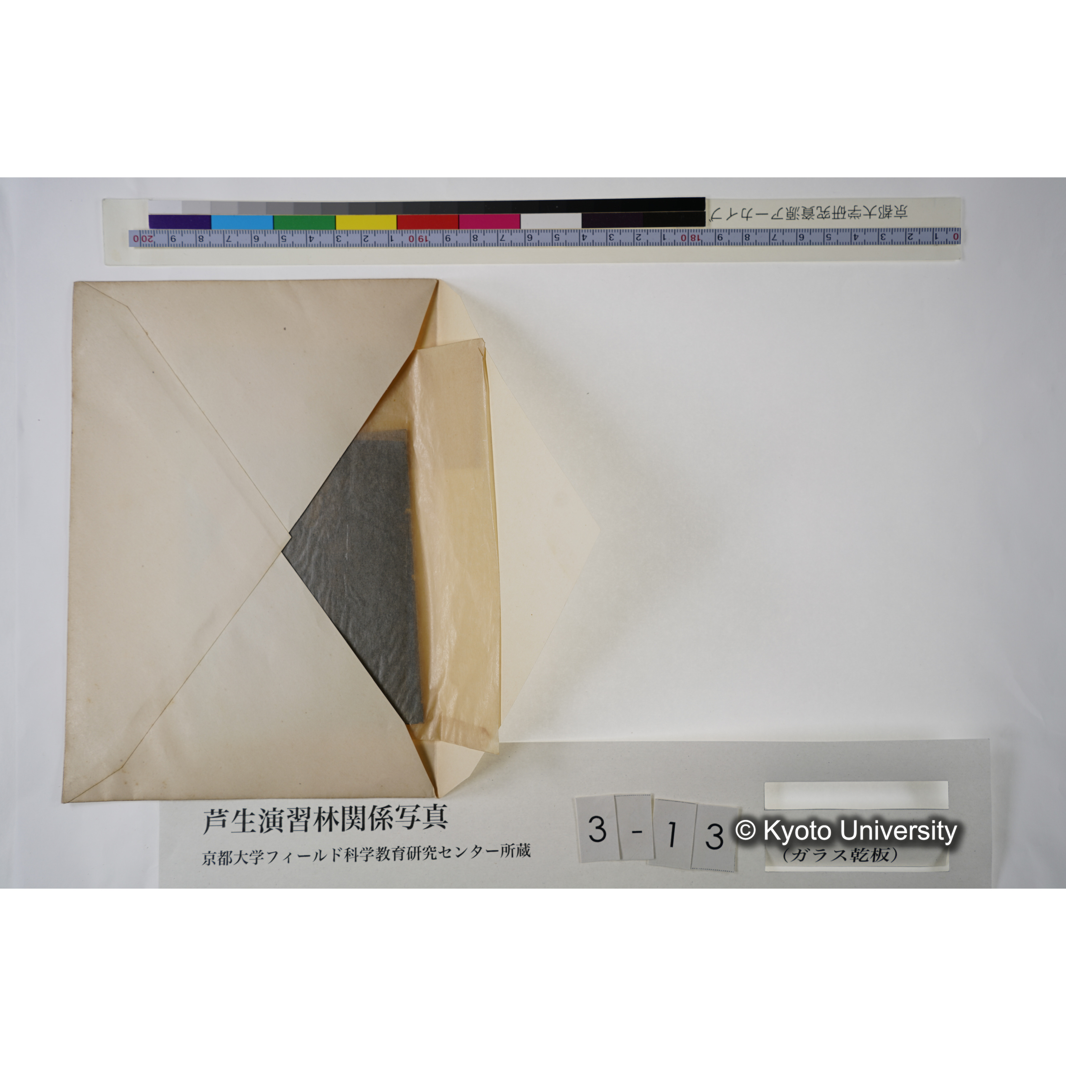 七瀬（記念） (5)