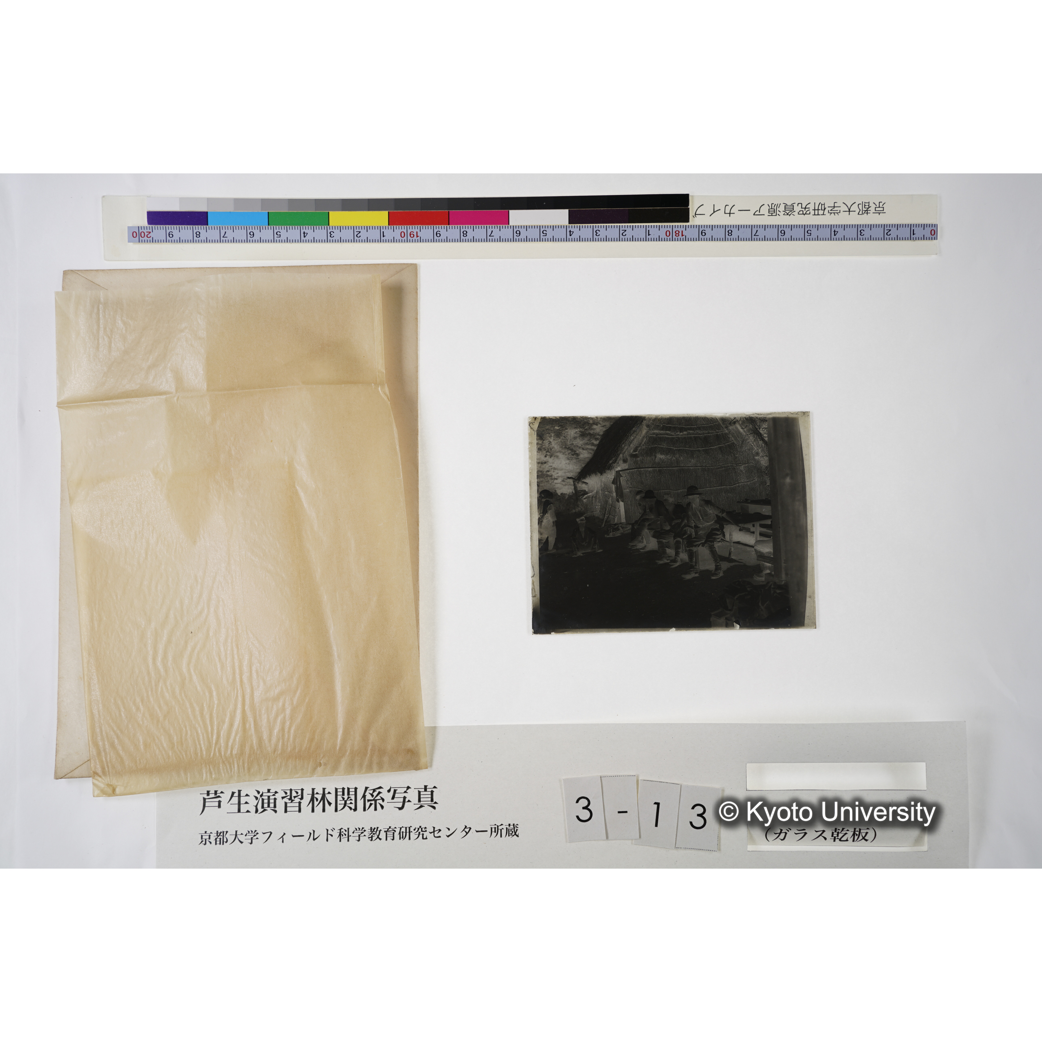 七瀬（記念） (6)