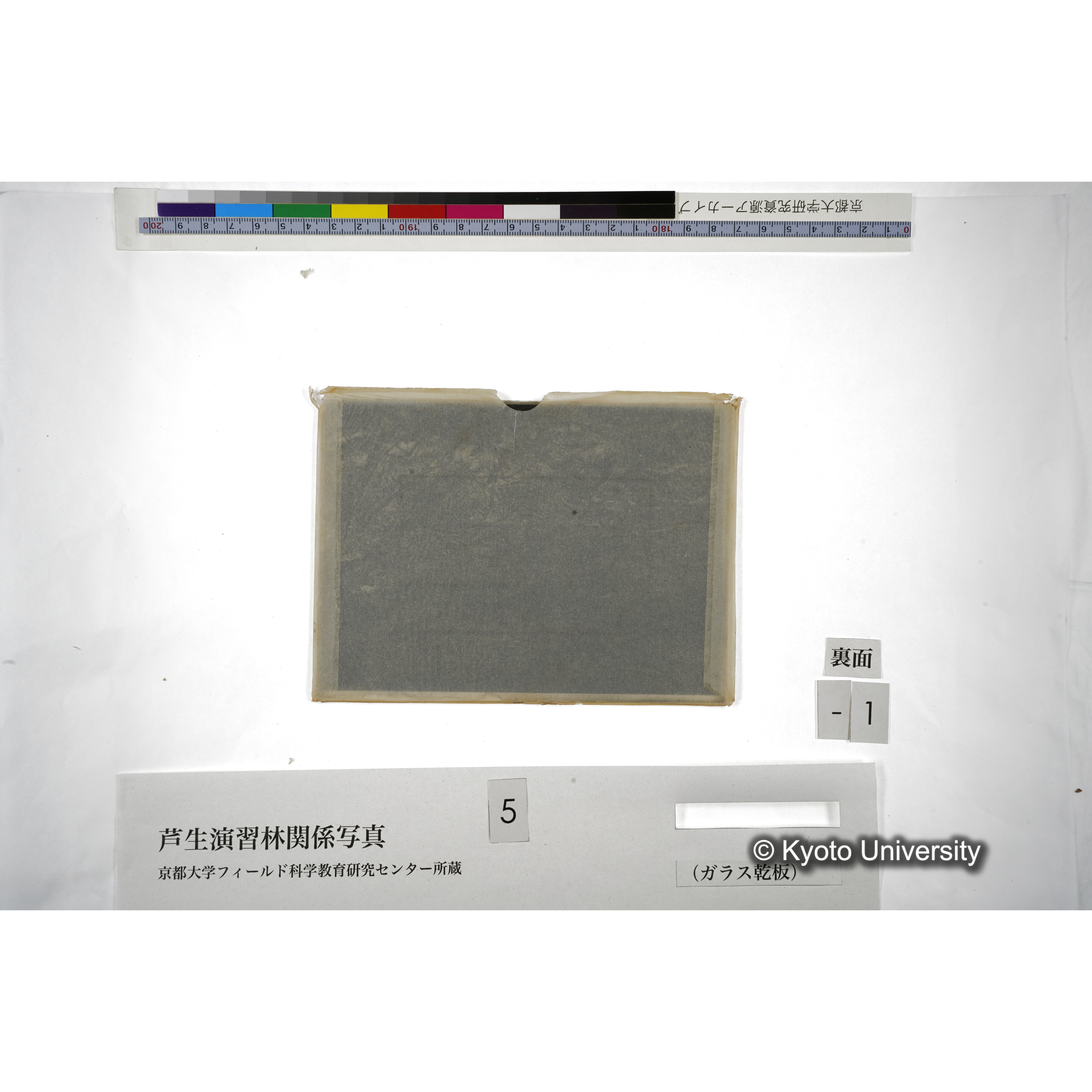 （ガラス乾板芦生柴田3-001） (3)
