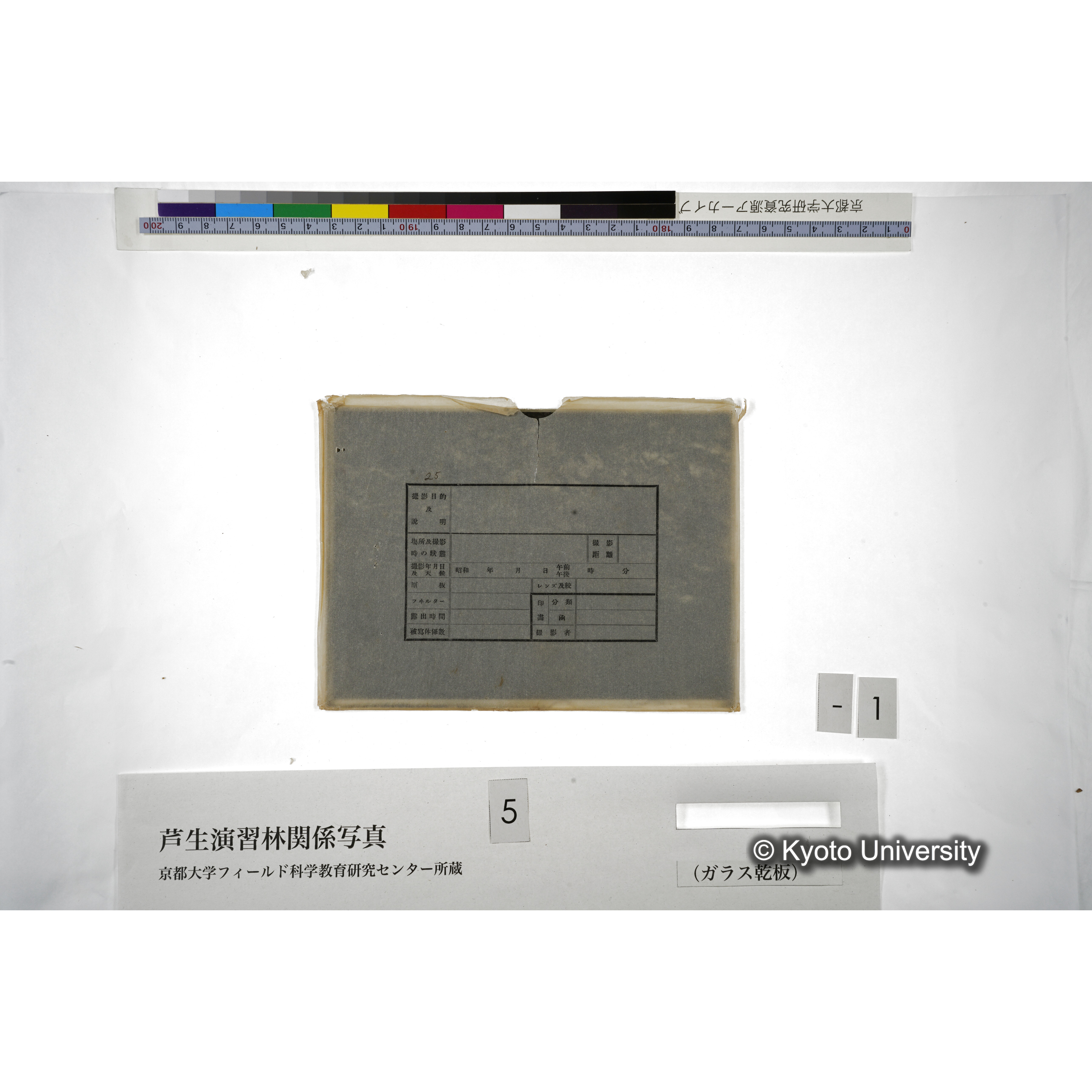 （ガラス乾板芦生柴田3-001） (4)