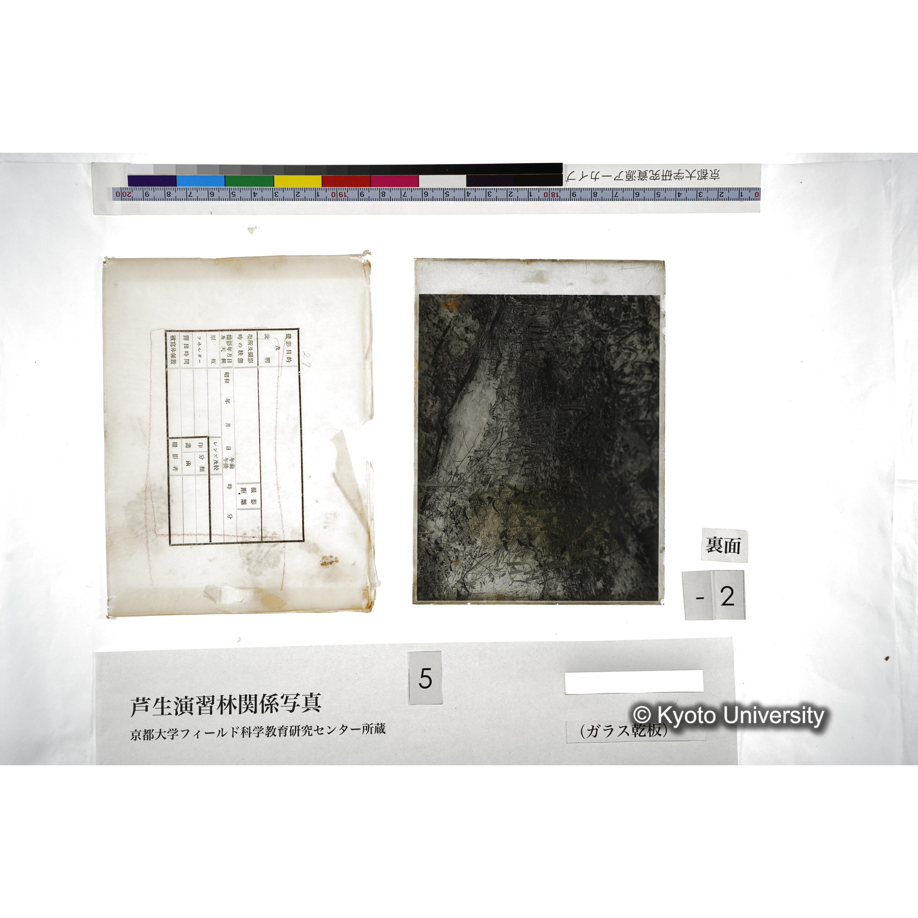 （ガラス乾板芦生柴田3-002） (2)