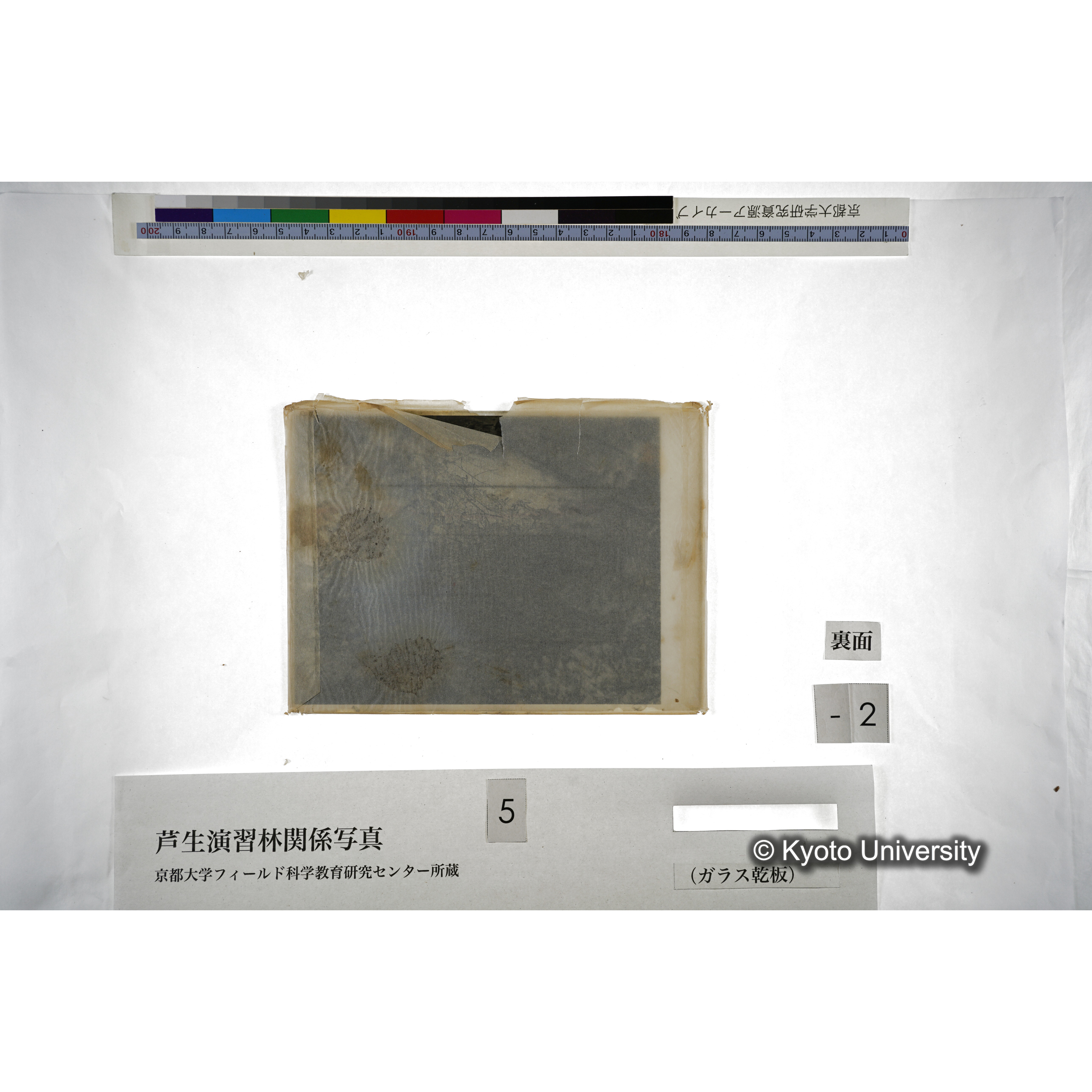 （ガラス乾板芦生柴田3-002） (3)