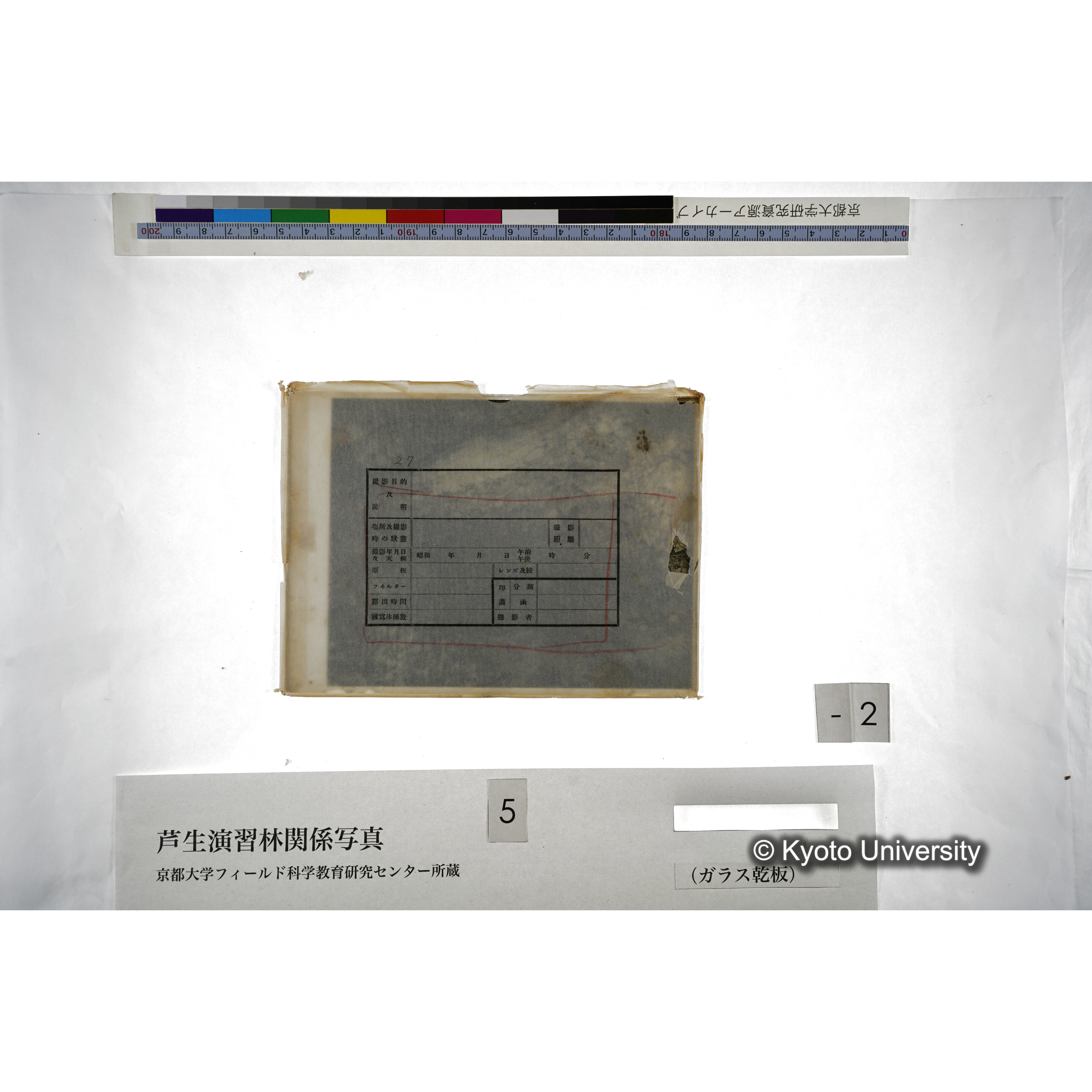 （ガラス乾板芦生柴田3-002） (4)