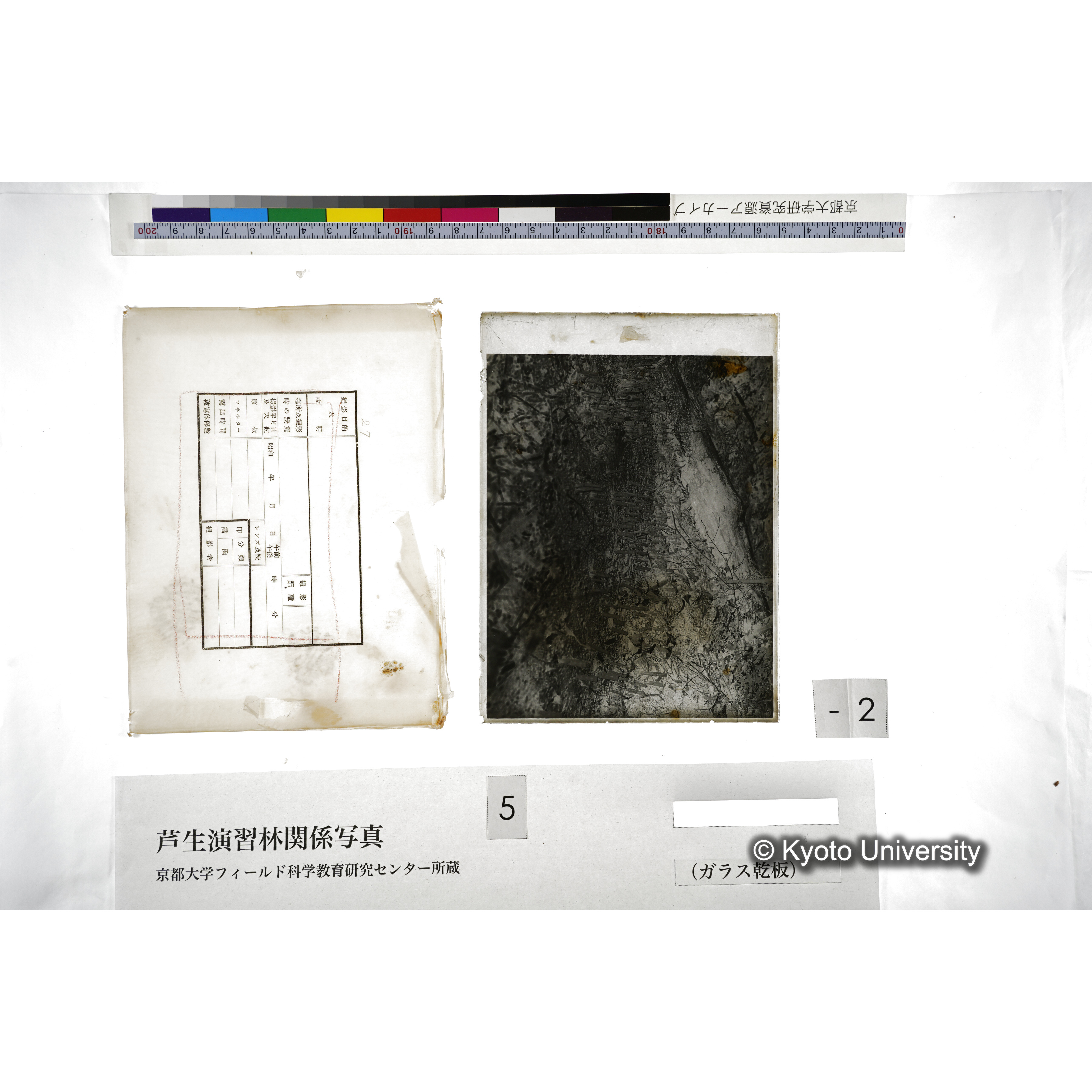 （ガラス乾板芦生柴田3-002） (5)
