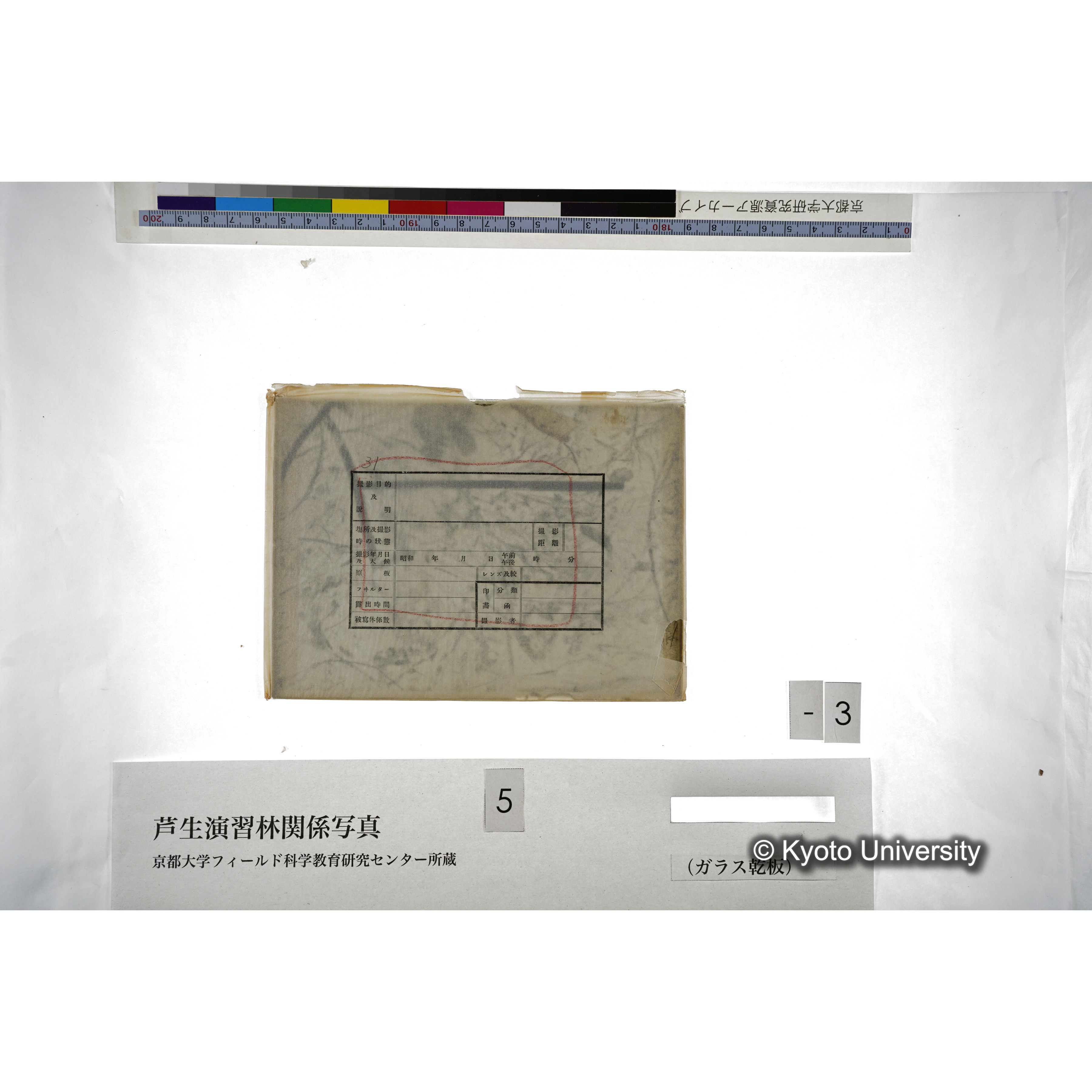 （ガラス乾板芦生柴田3-003） (4)