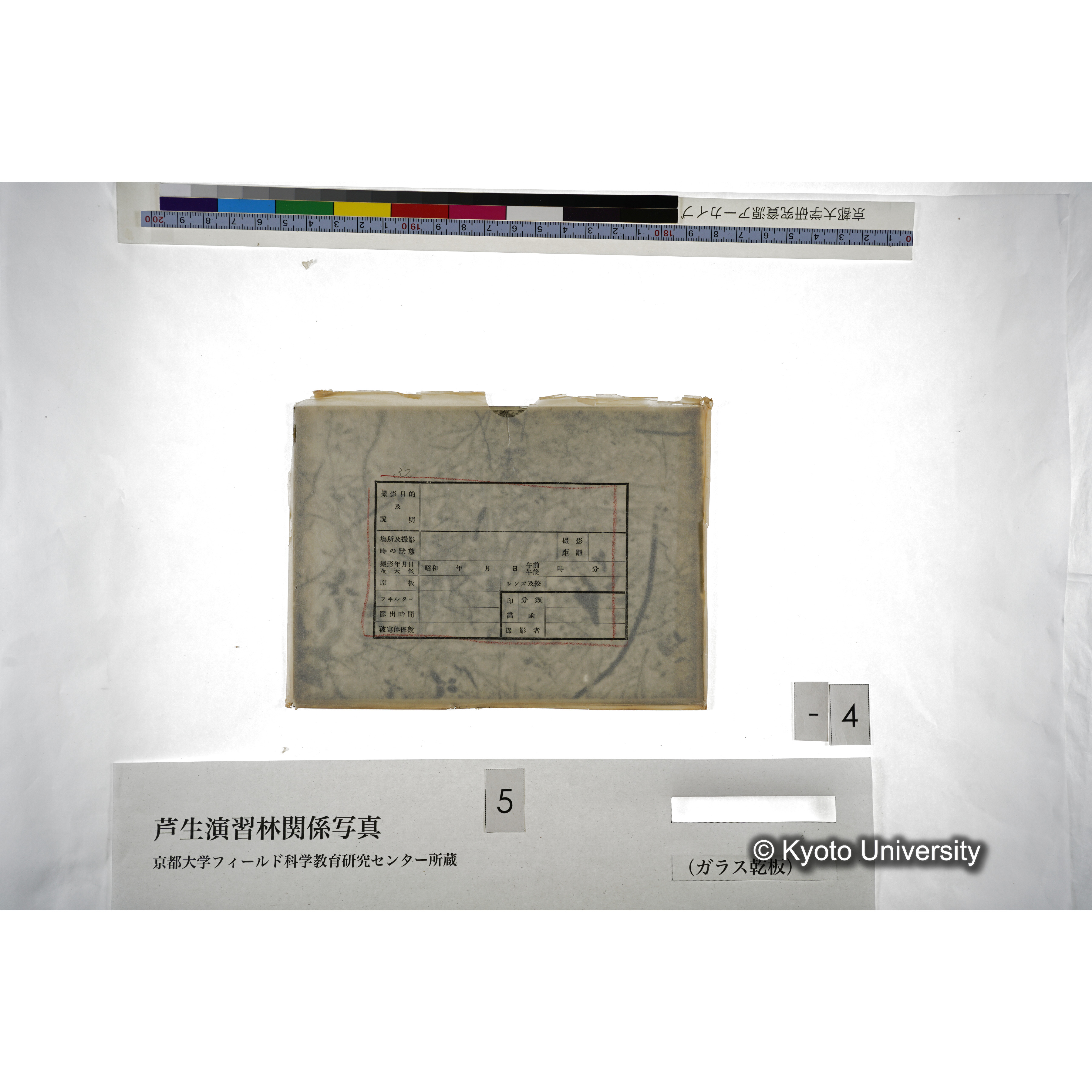 （ガラス乾板芦生柴田3-004） (2)