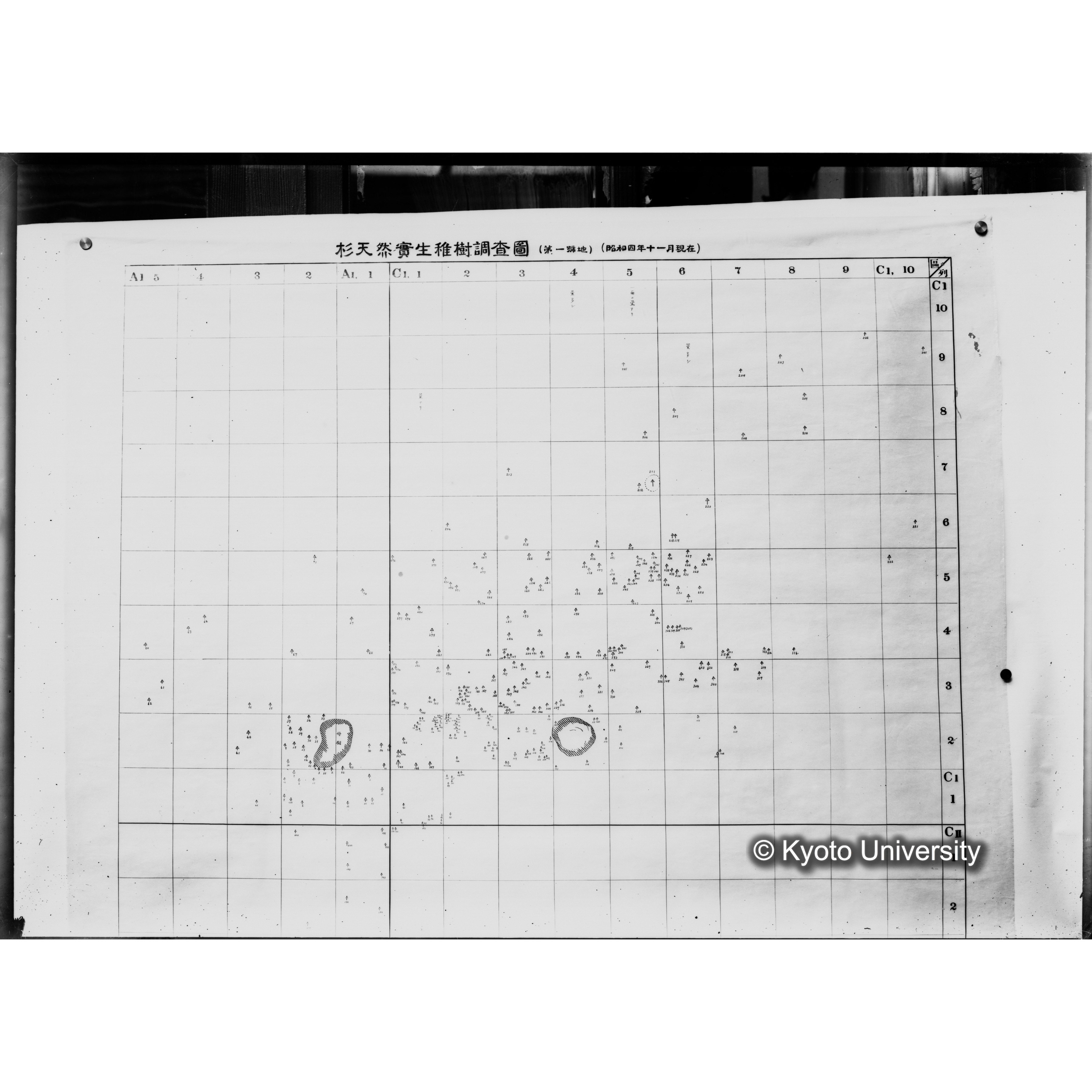 （ガラス乾板芦生柴田3-008） (1)