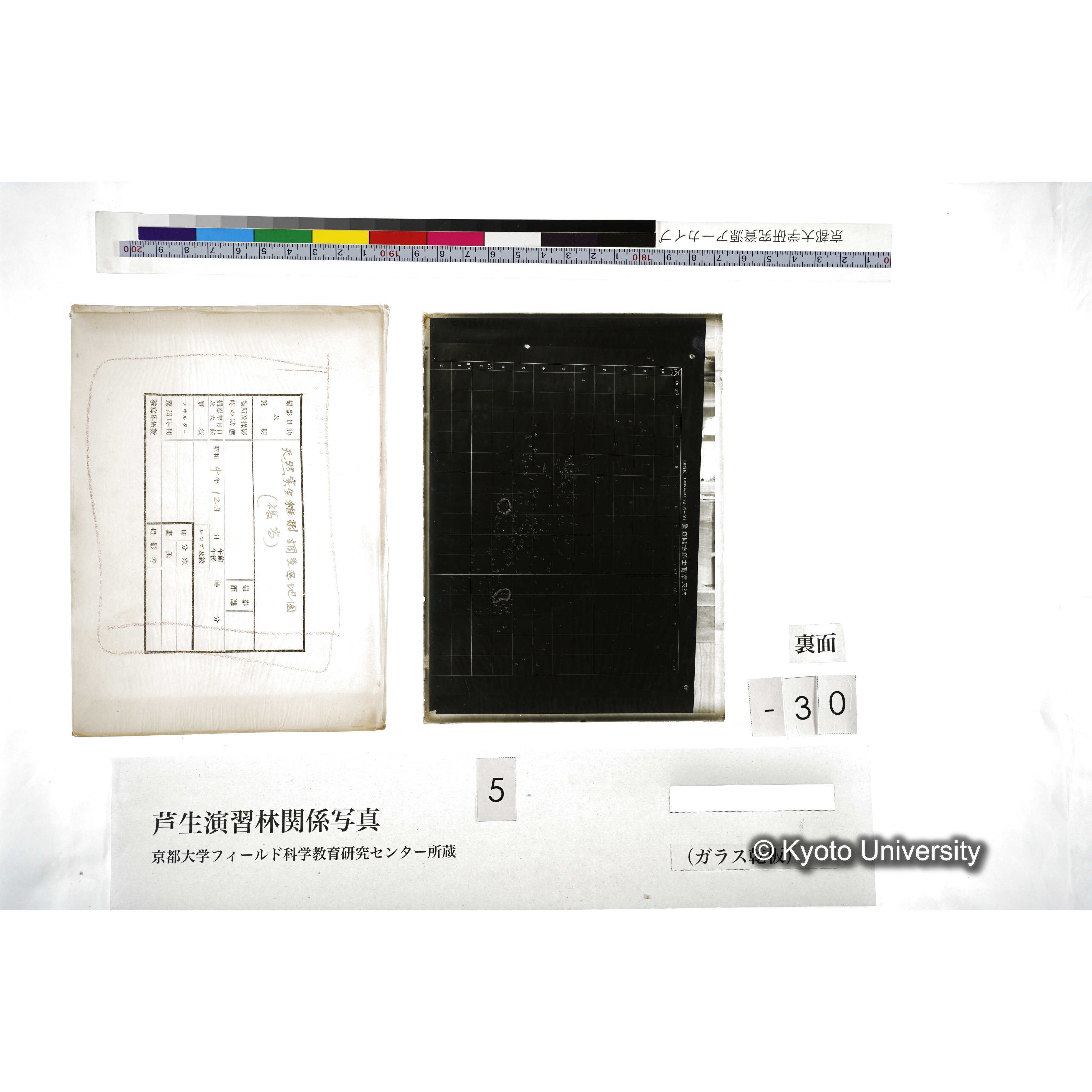 （ガラス乾板芦生柴田3-008） (2)