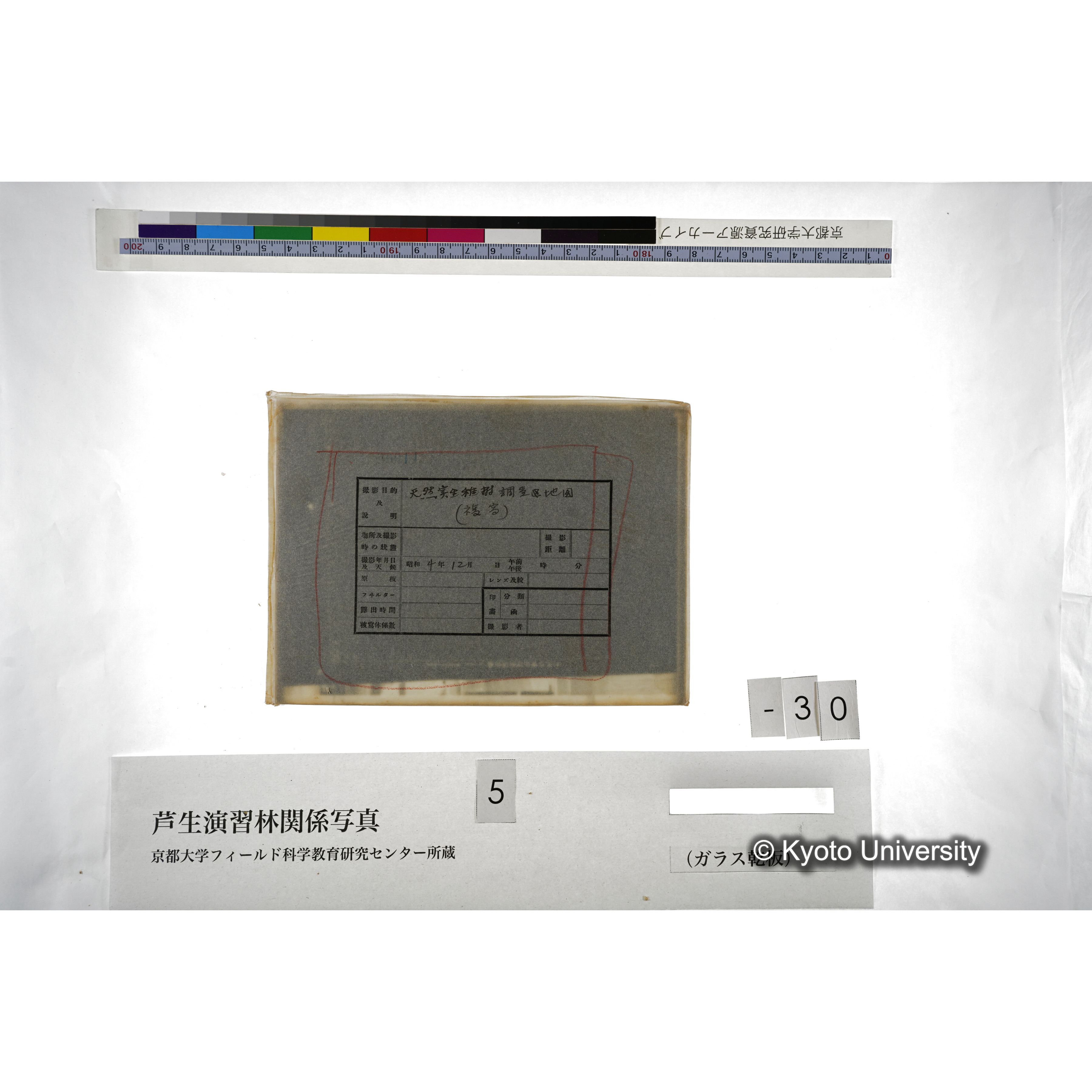 （ガラス乾板芦生柴田3-008） (3)