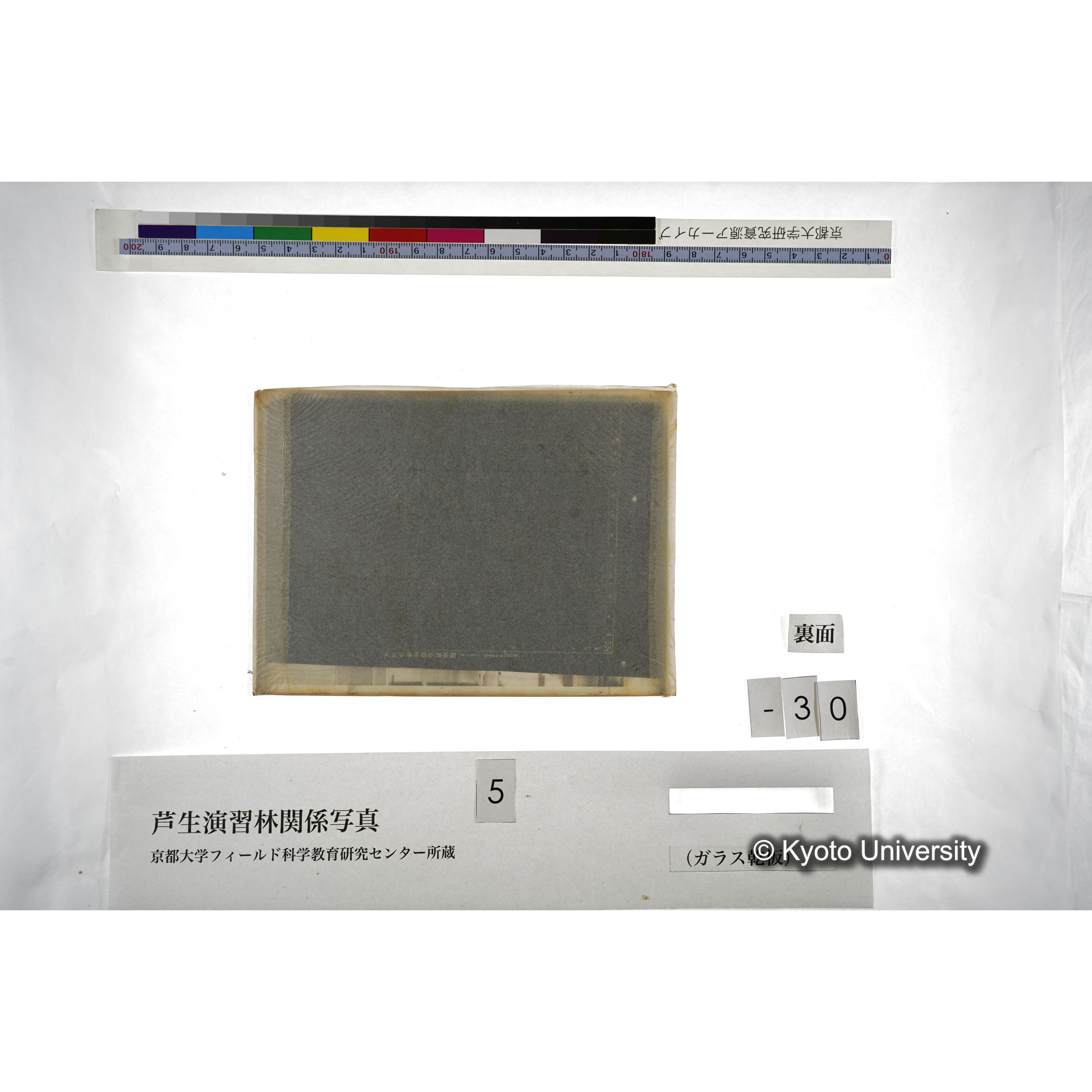（ガラス乾板芦生柴田3-008） (4)