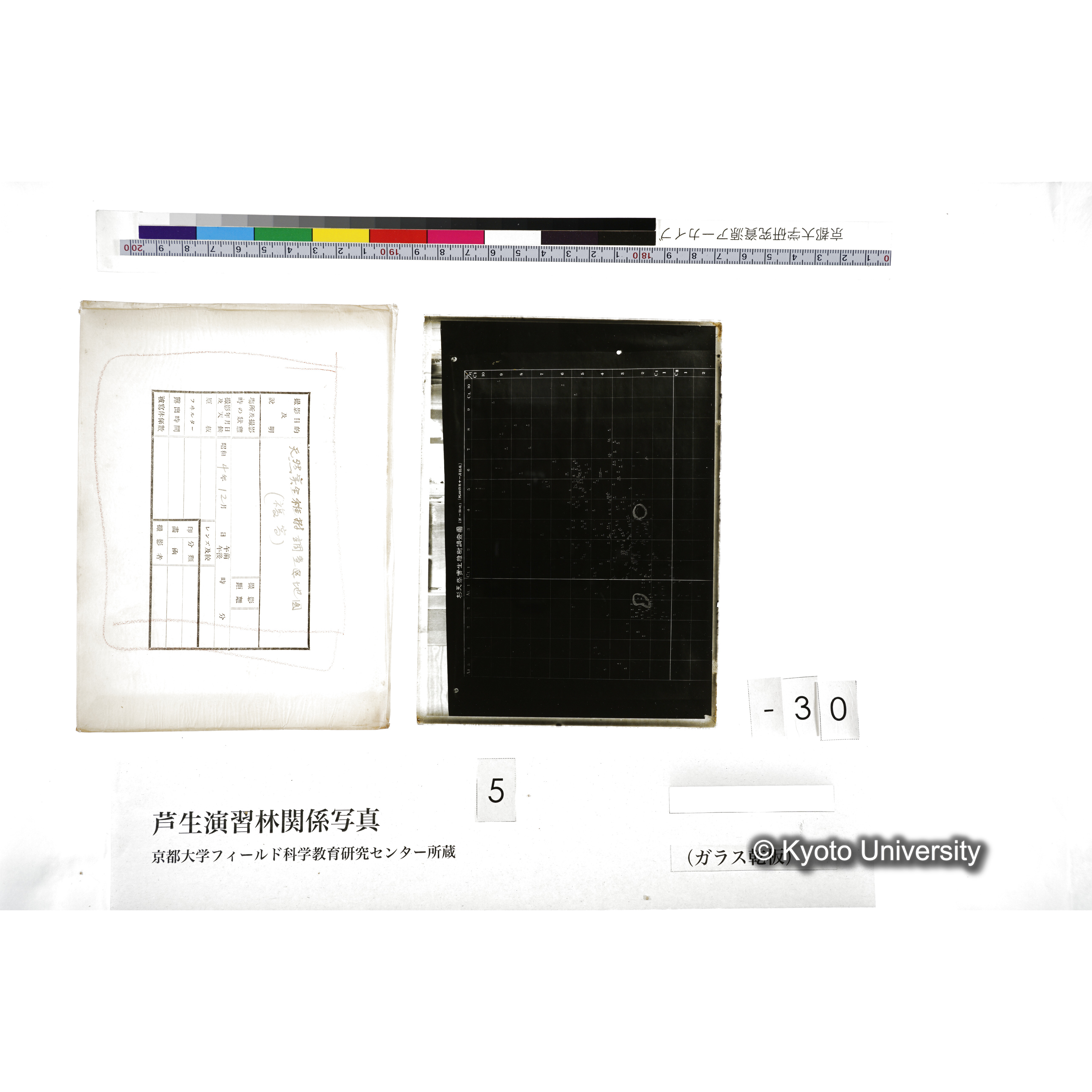 （ガラス乾板芦生柴田3-008） (5)