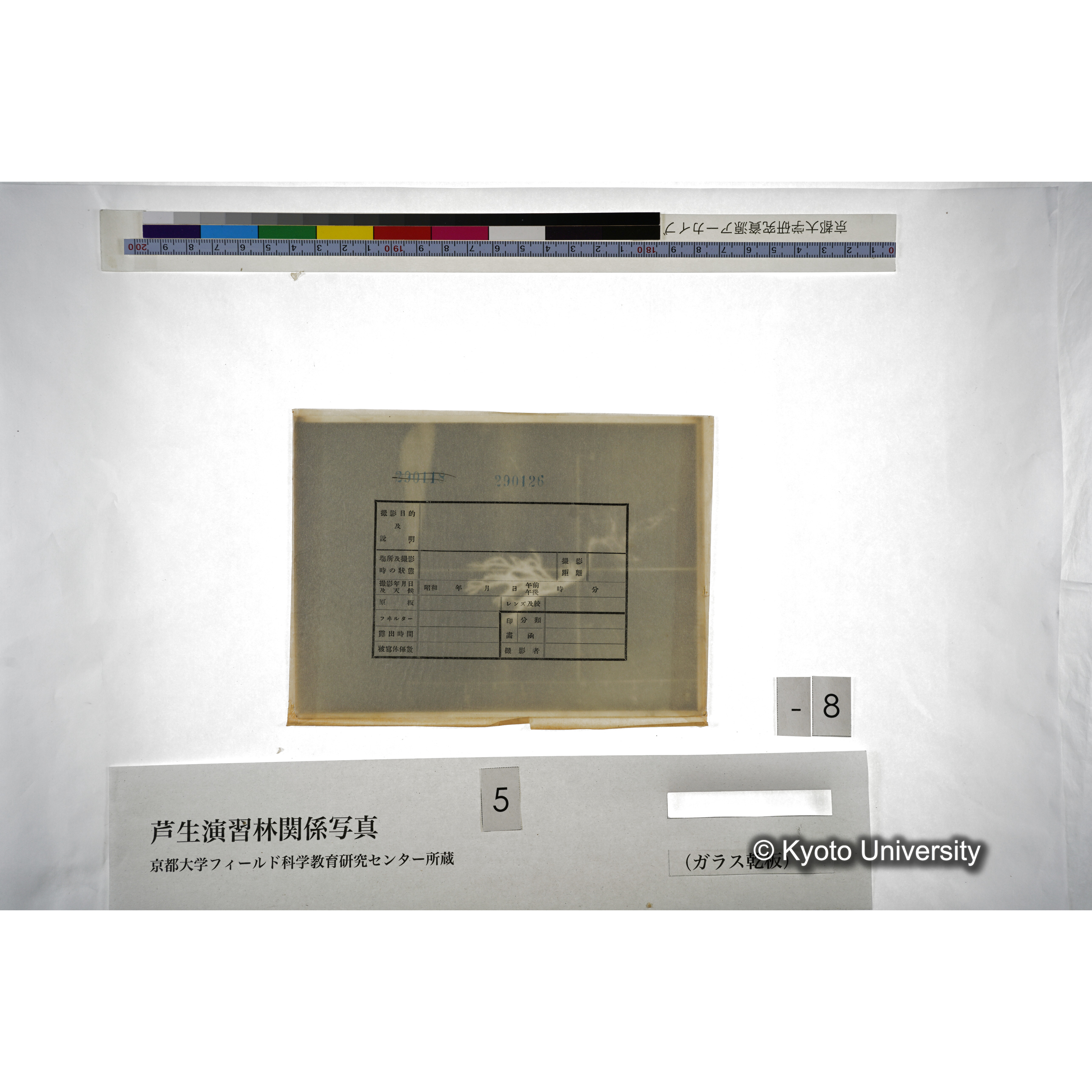 （ガラス乾板芦生柴田3-009） (4)