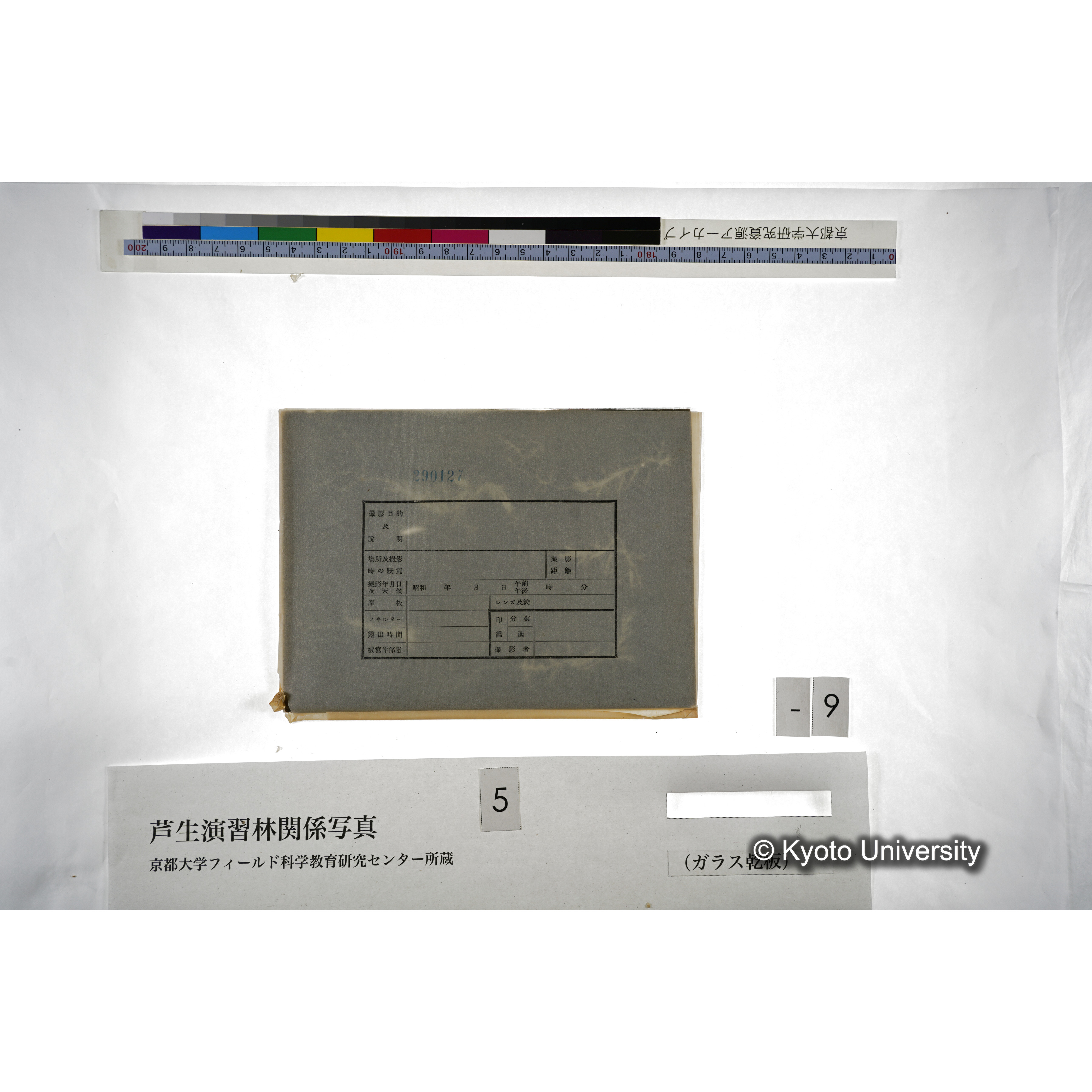 （ガラス乾板芦生柴田3-010） (4)