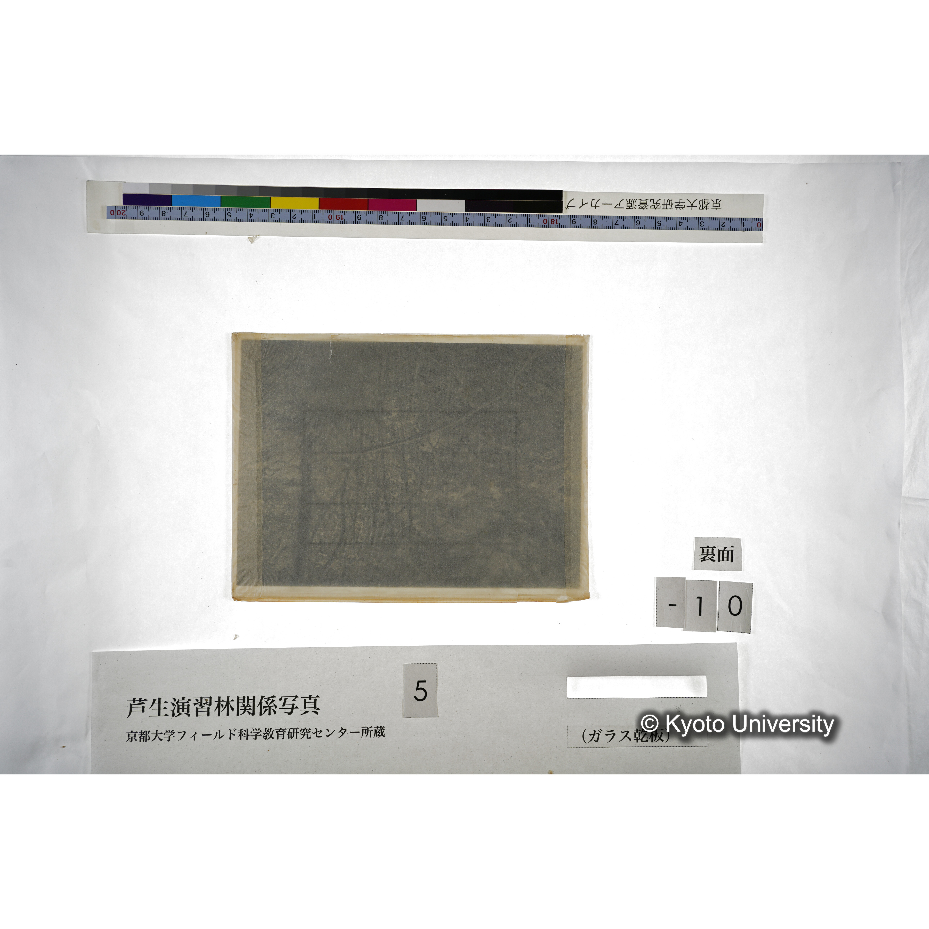 （ガラス乾板芦生柴田3-011） (4)