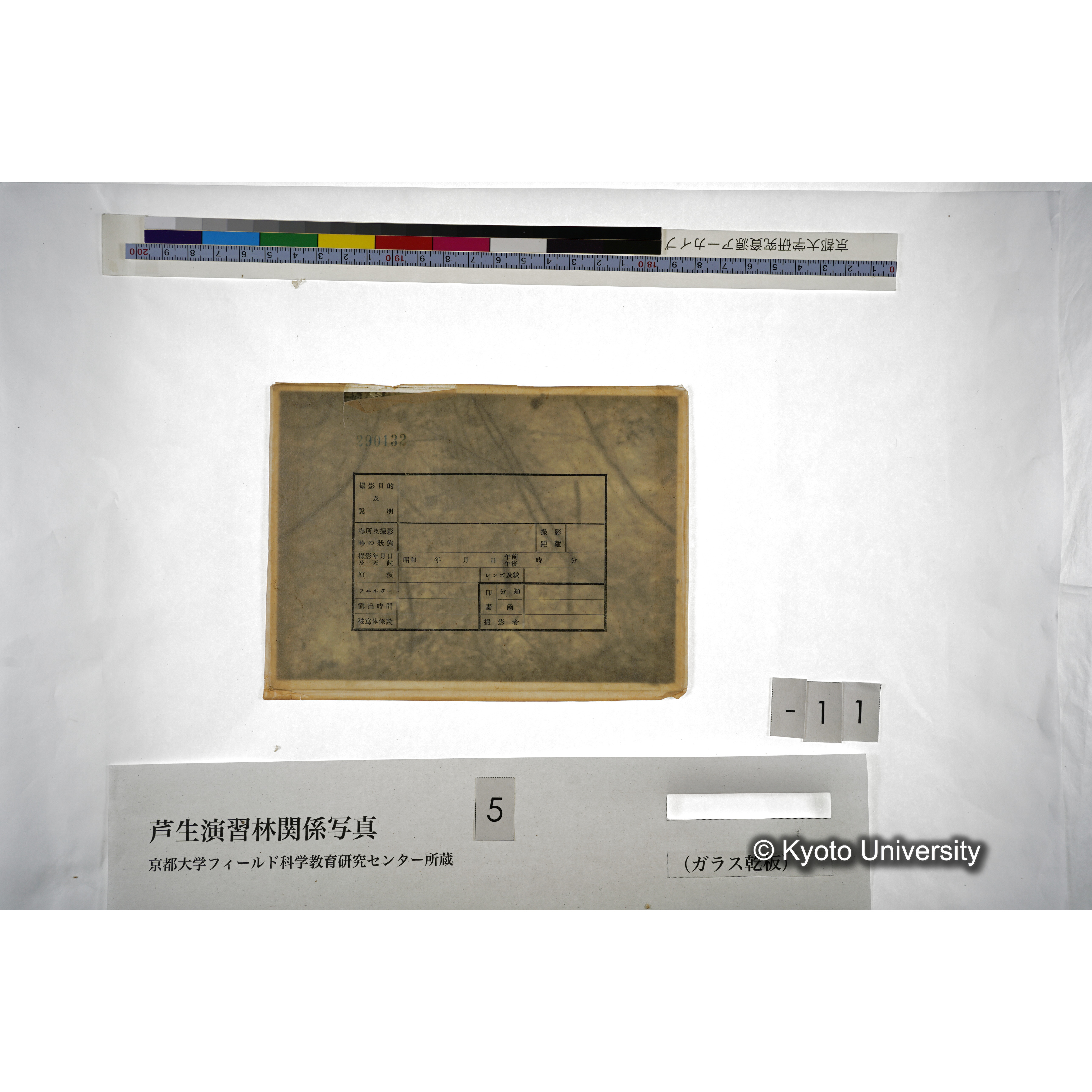 （ガラス乾板芦生柴田3-012） (4)