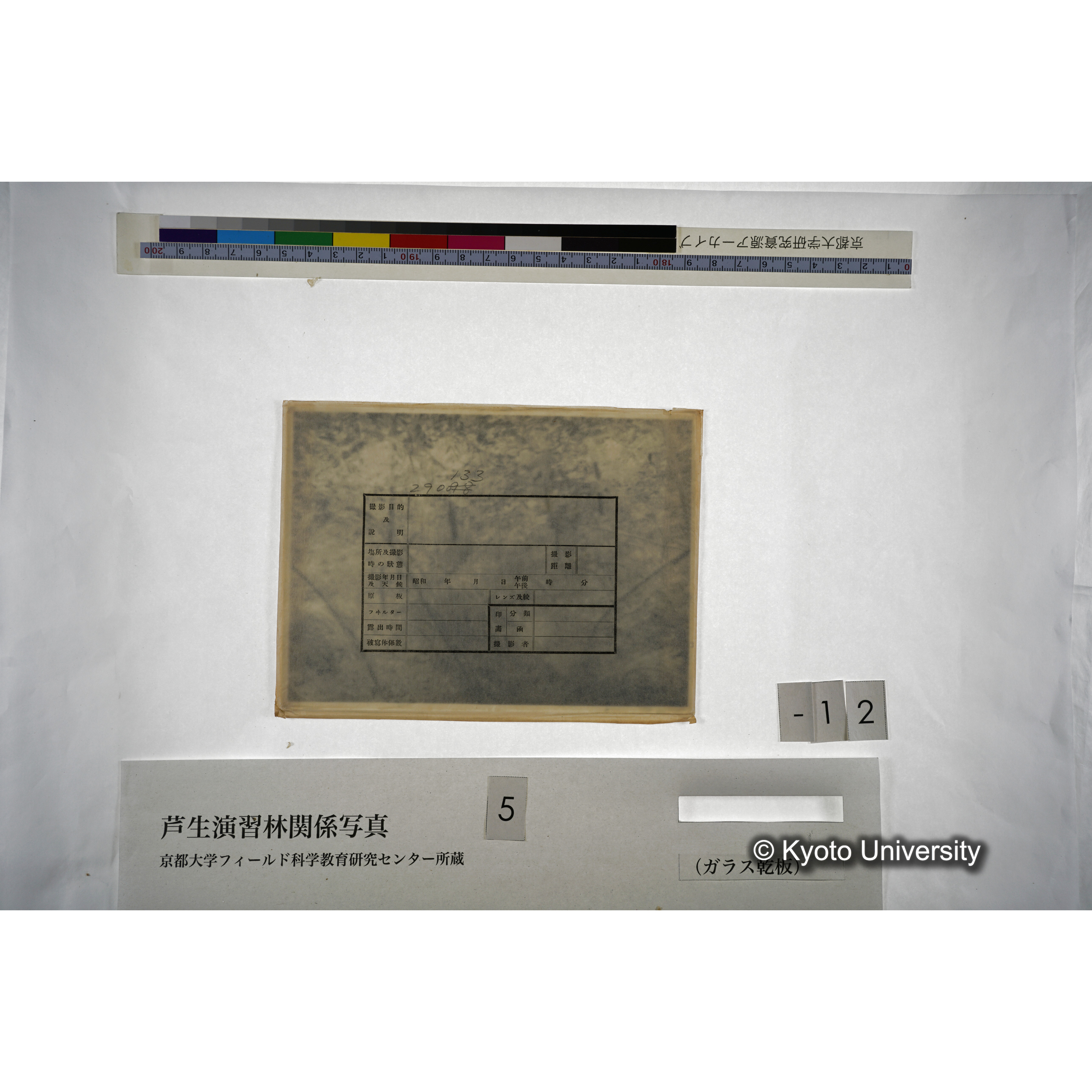 （ガラス乾板芦生柴田3-013） (2)