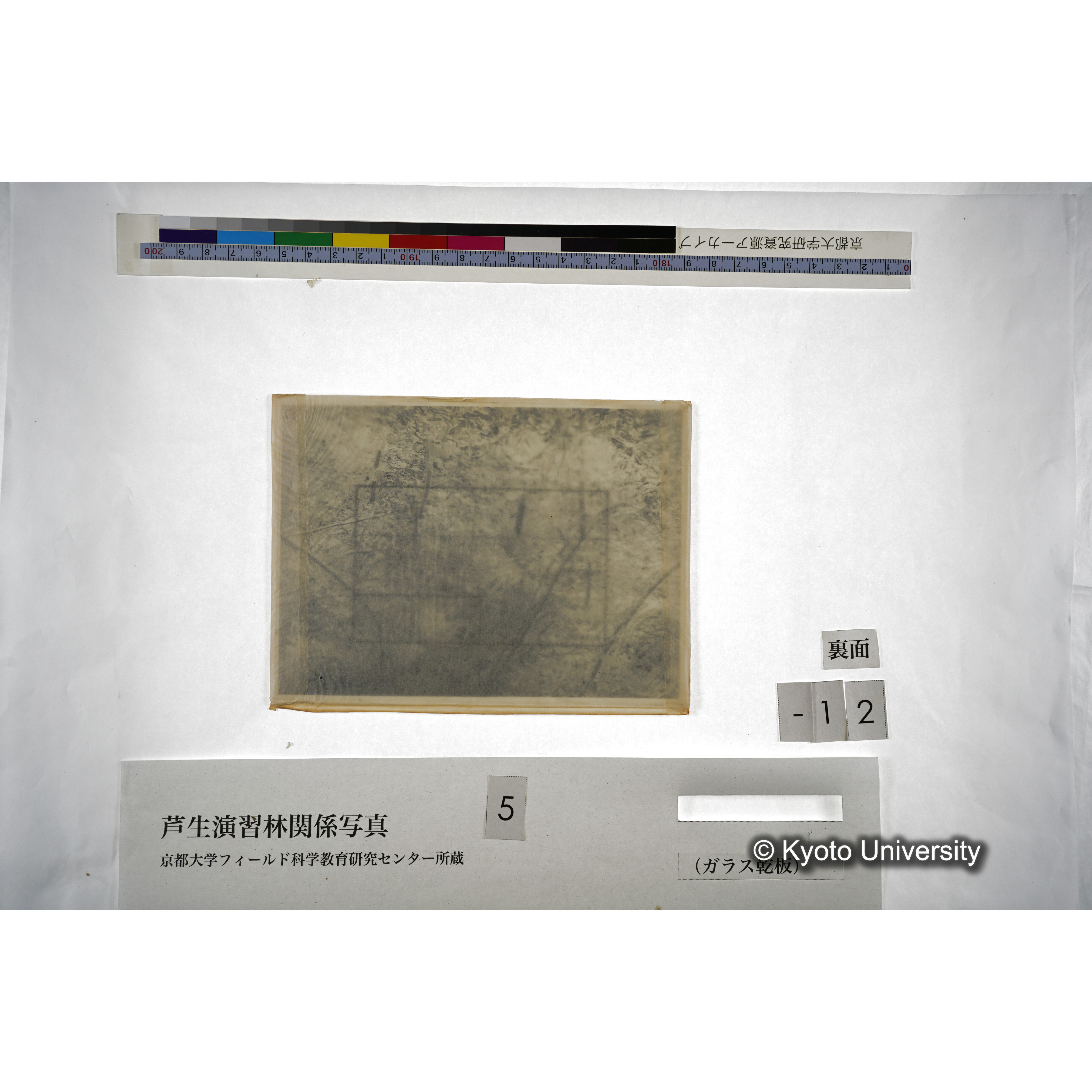 （ガラス乾板芦生柴田3-013） (4)