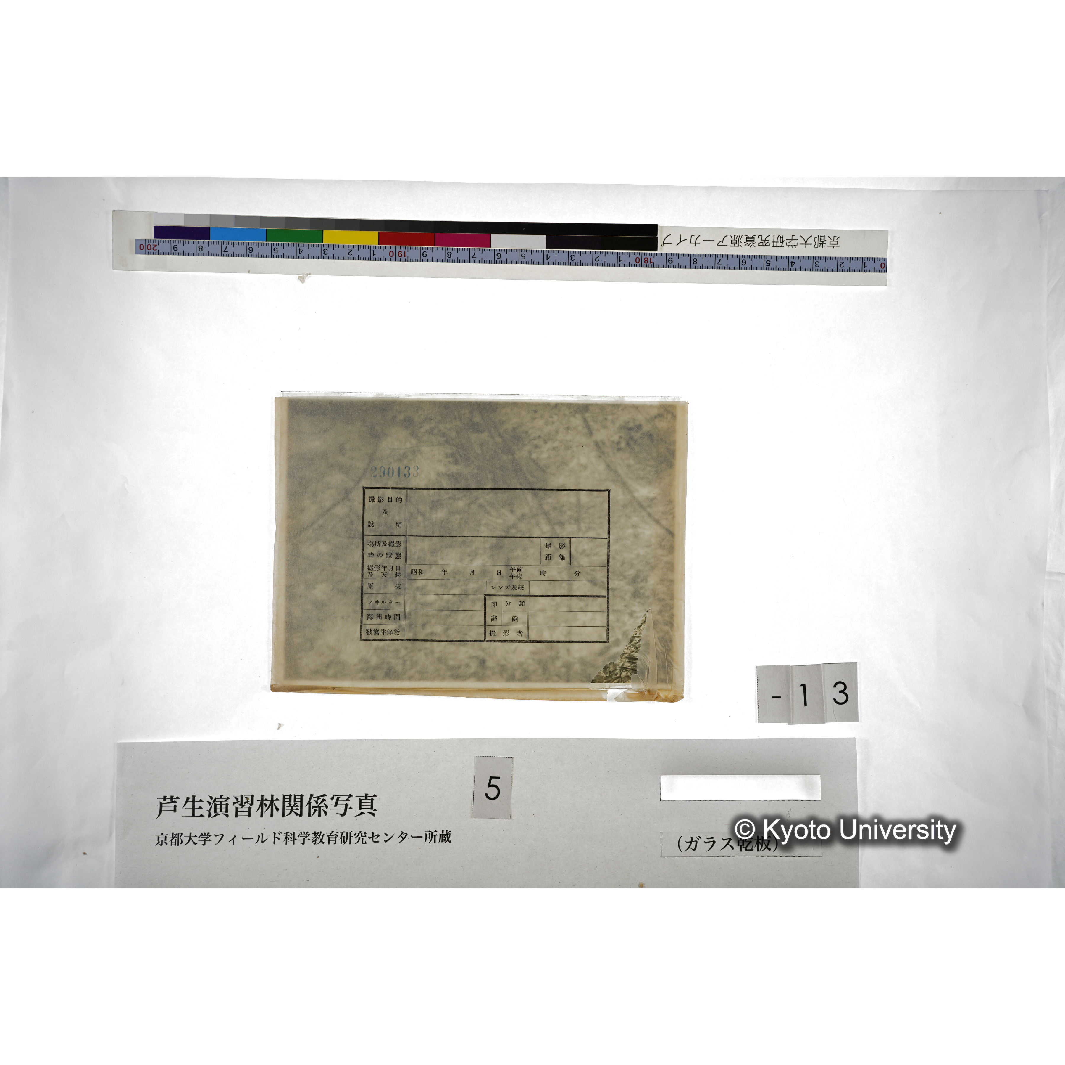 （ガラス乾板芦生柴田3-014） (2)