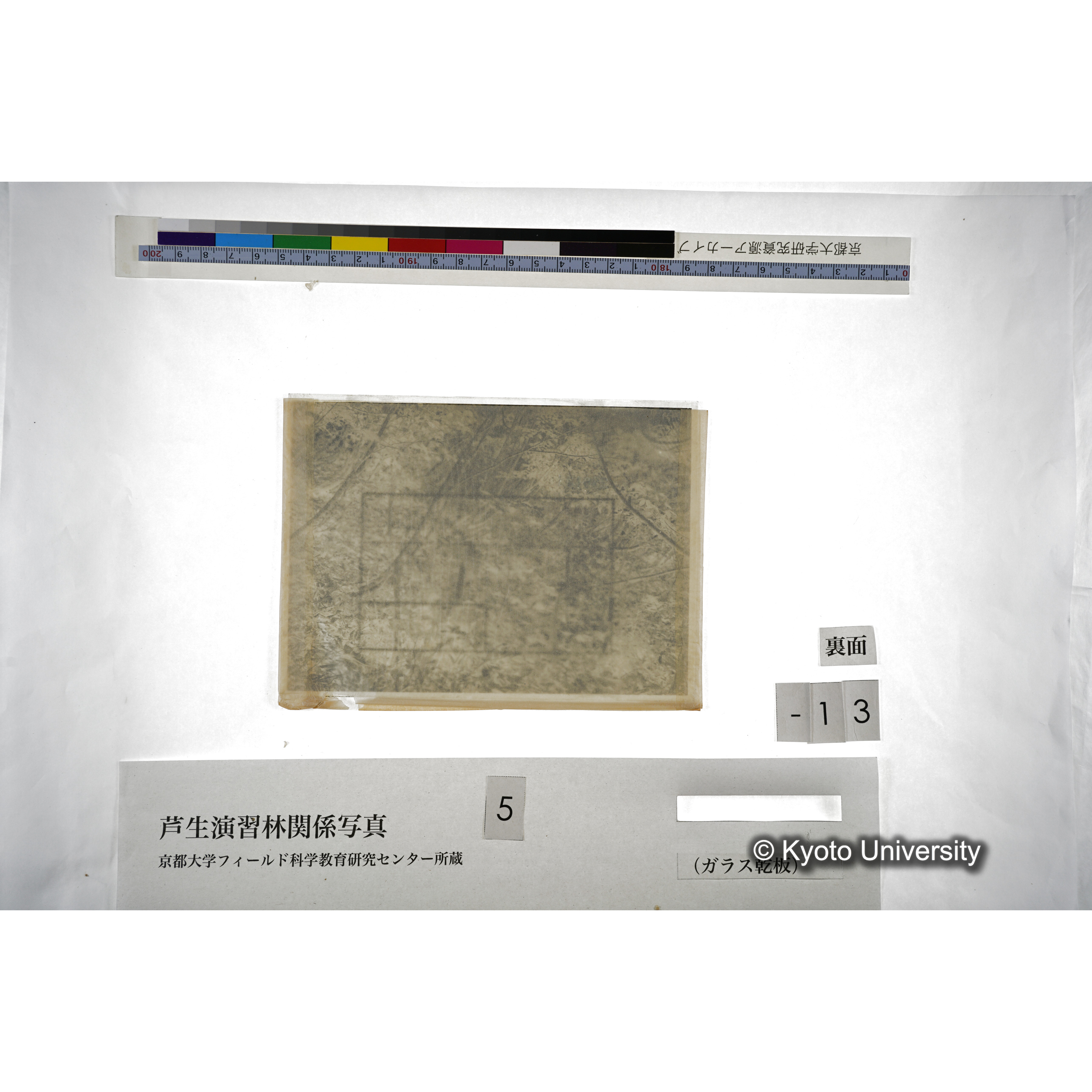 （ガラス乾板芦生柴田3-014） (4)