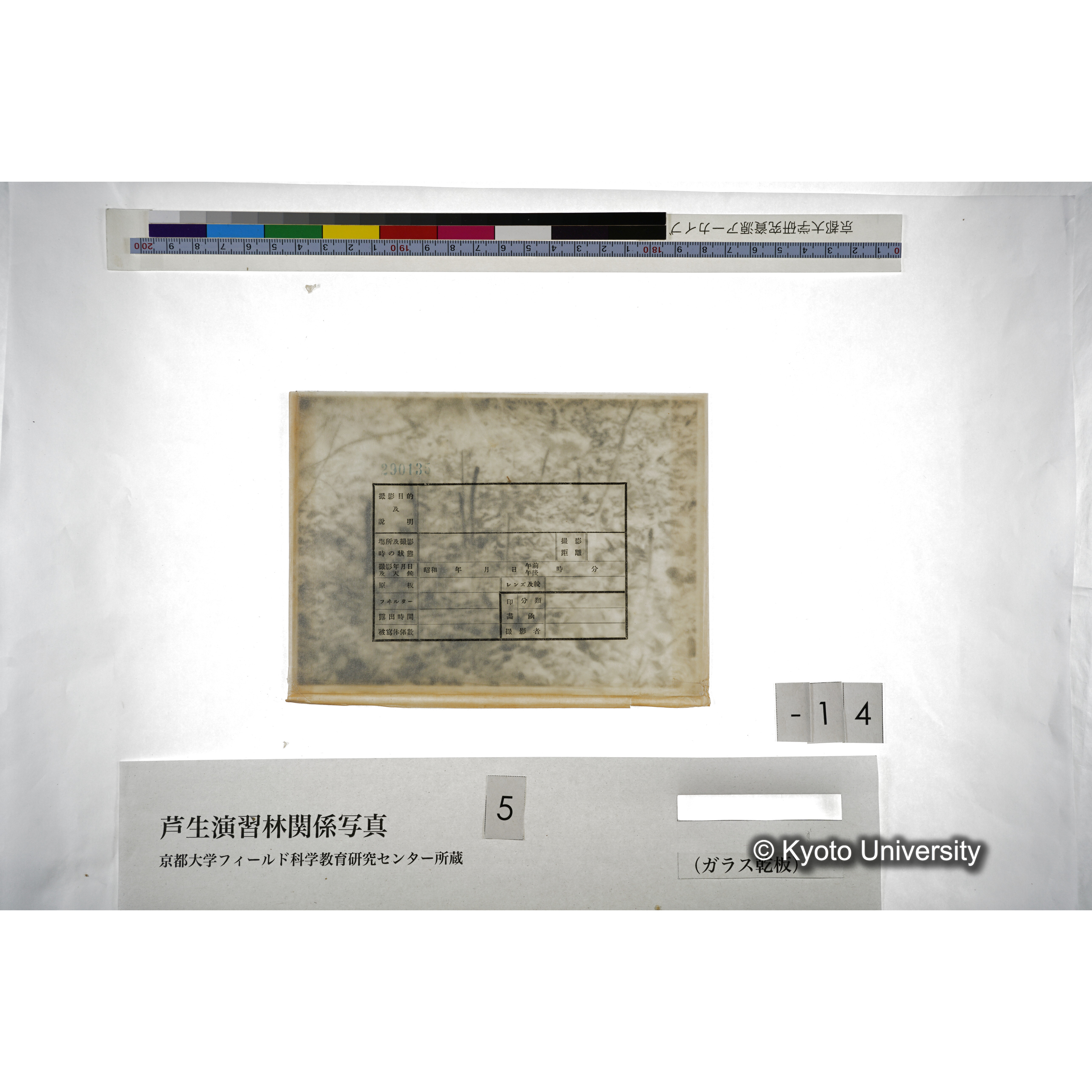 （ガラス乾板芦生柴田3-015） (3)