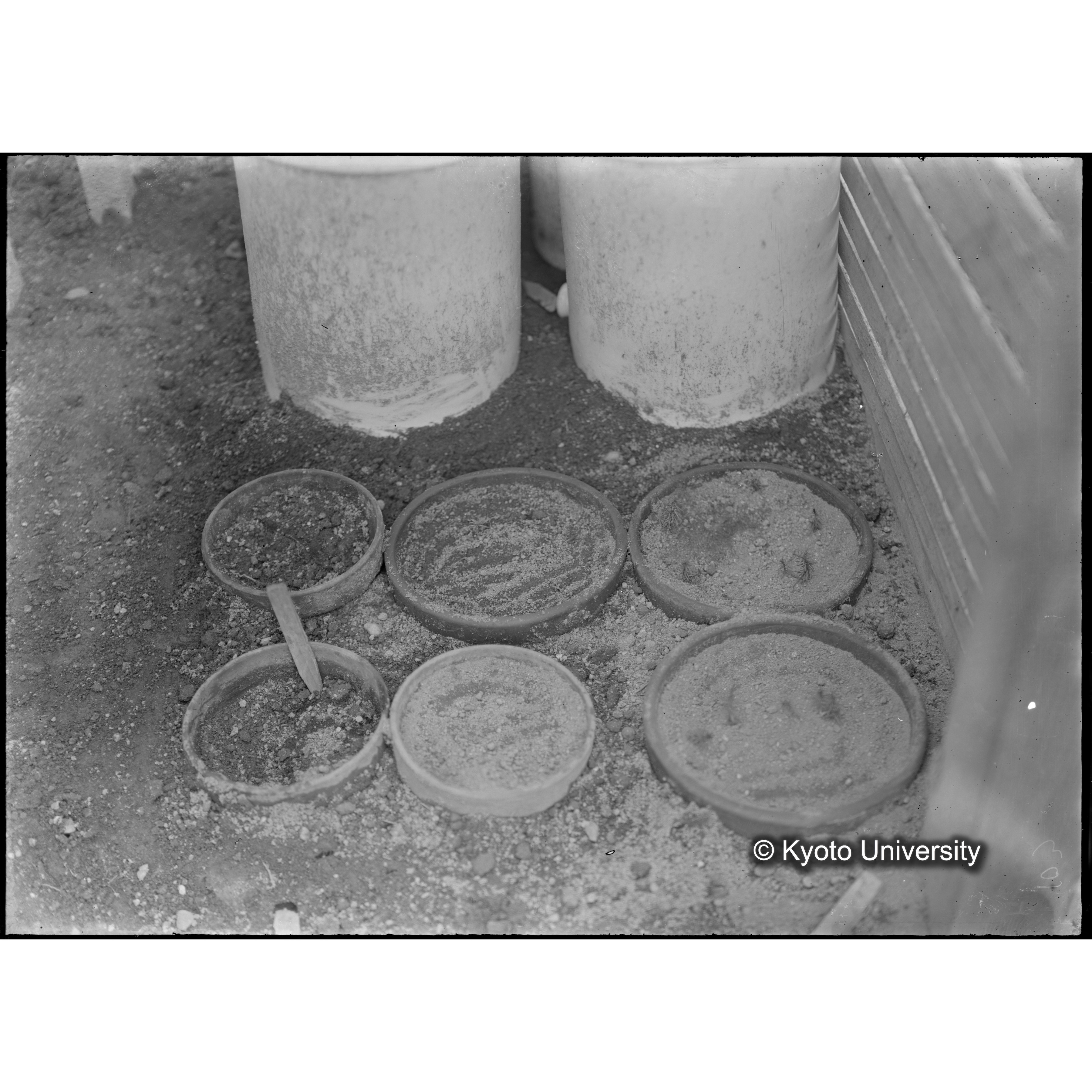 （ガラス乾板芦生柴田3-016） (1)