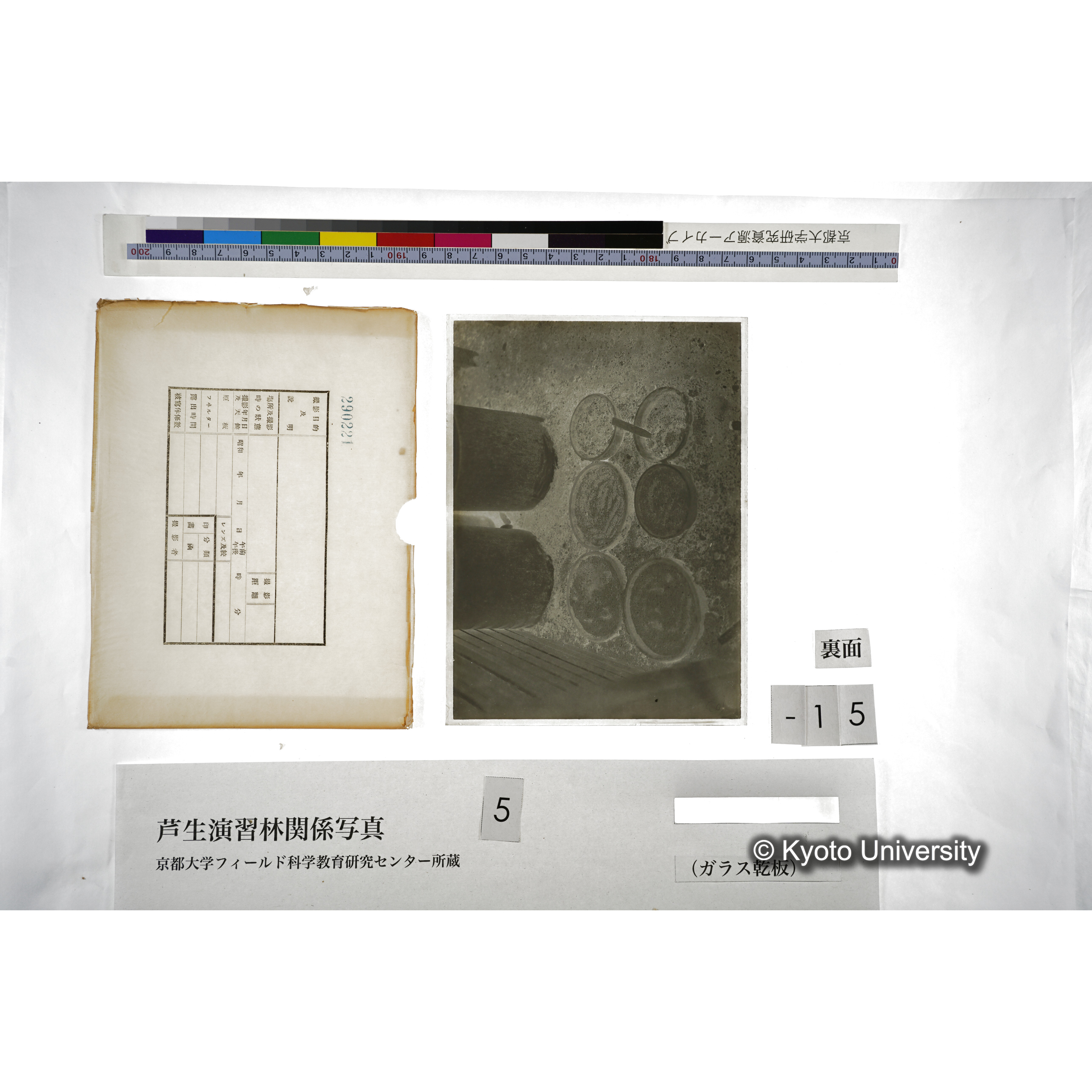 （ガラス乾板芦生柴田3-016） (2)
