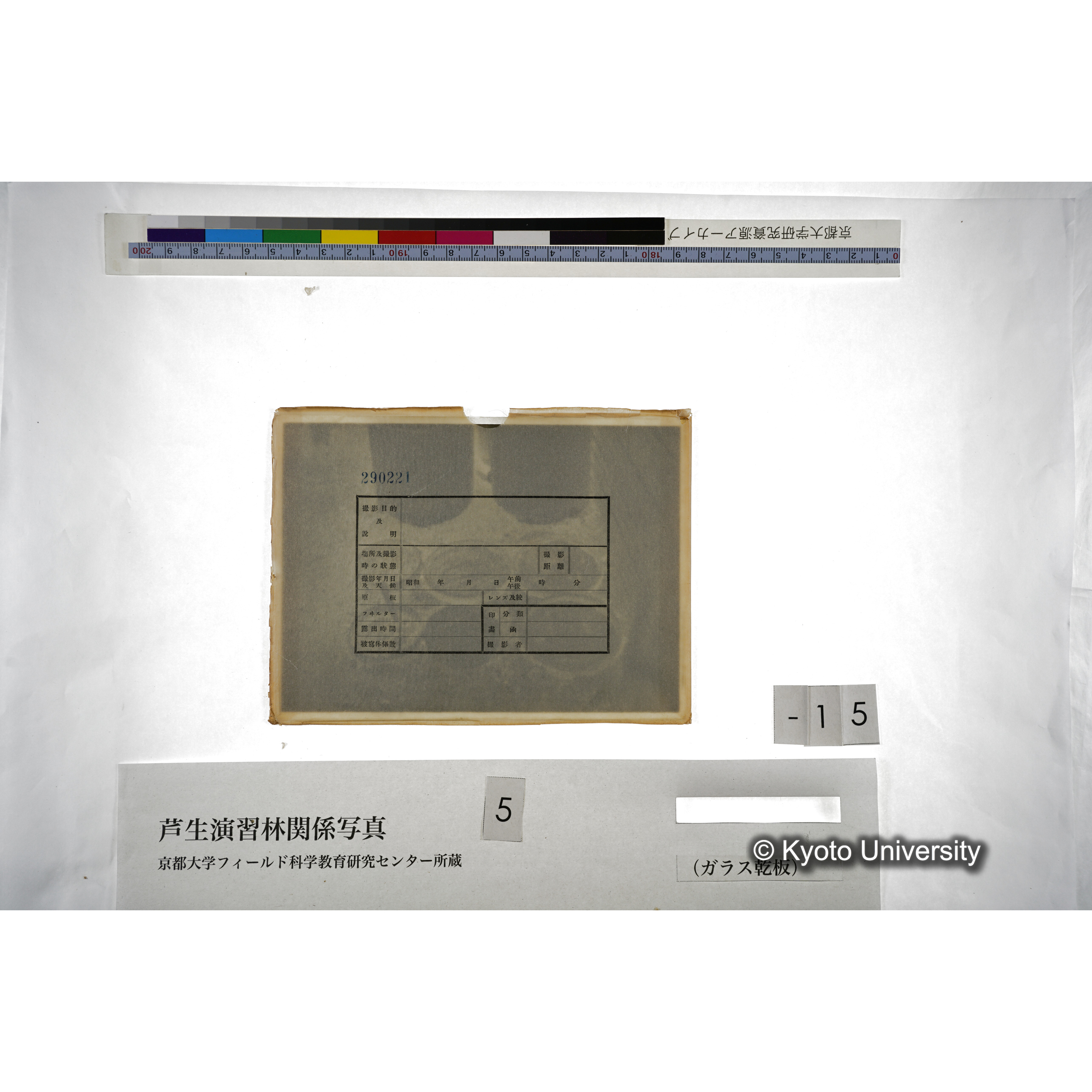 （ガラス乾板芦生柴田3-016） (4)