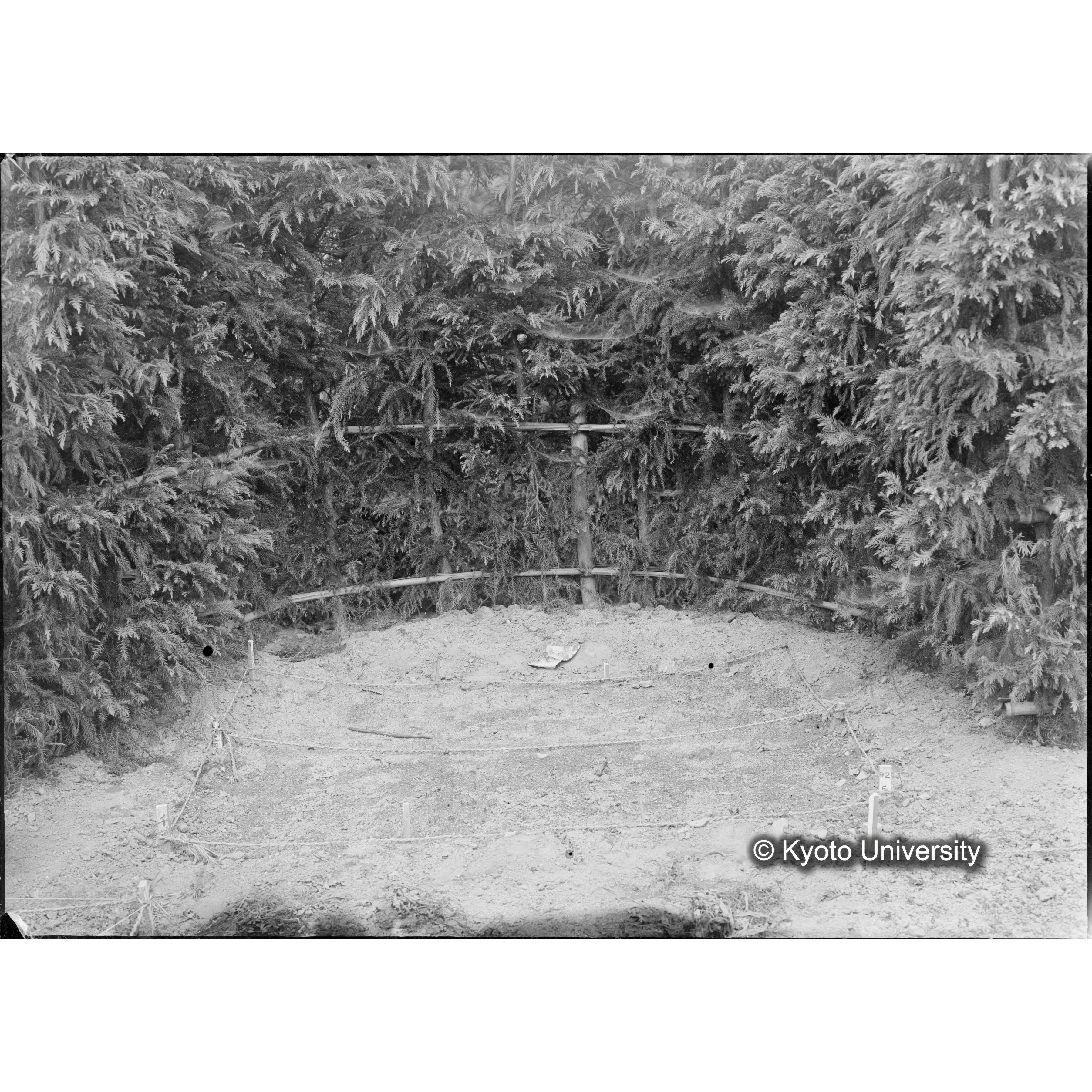 （ガラス乾板芦生柴田3-017） (1)