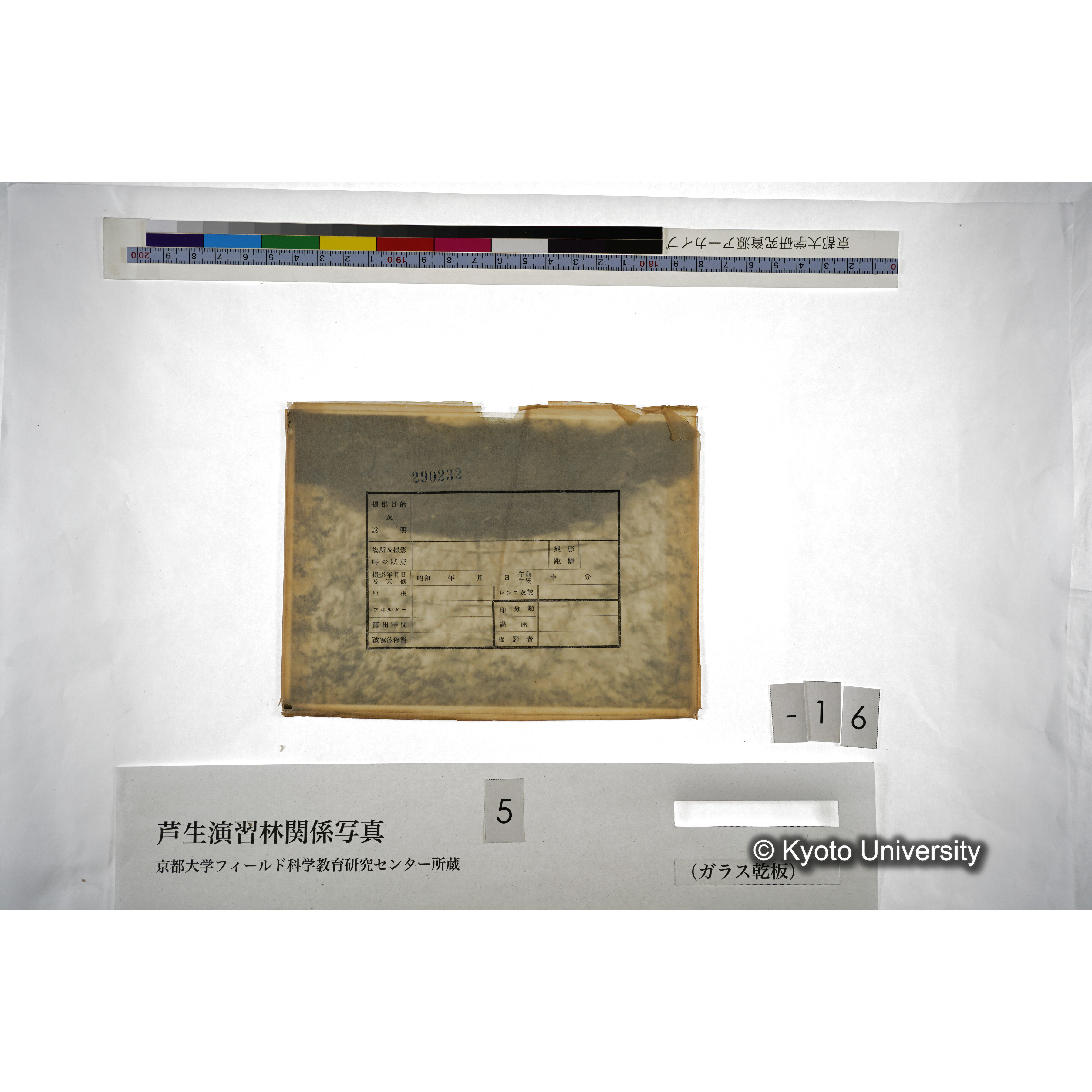 （ガラス乾板芦生柴田3-017） (3)