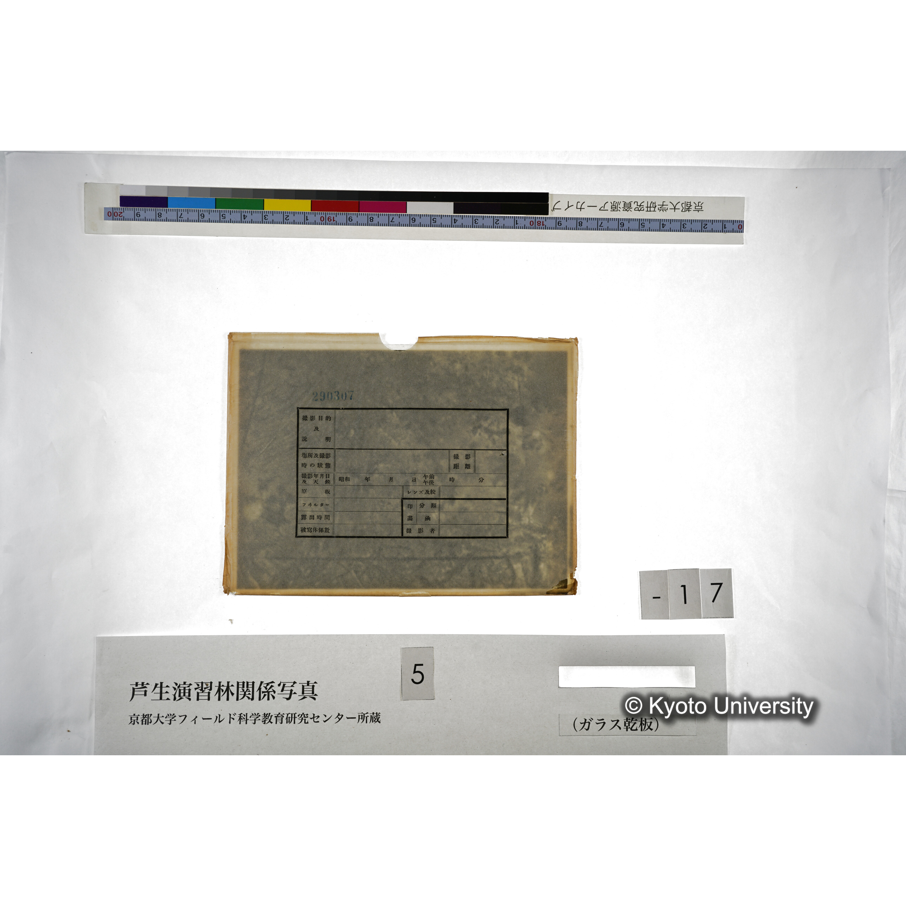 （ガラス乾板芦生柴田3-018） (3)