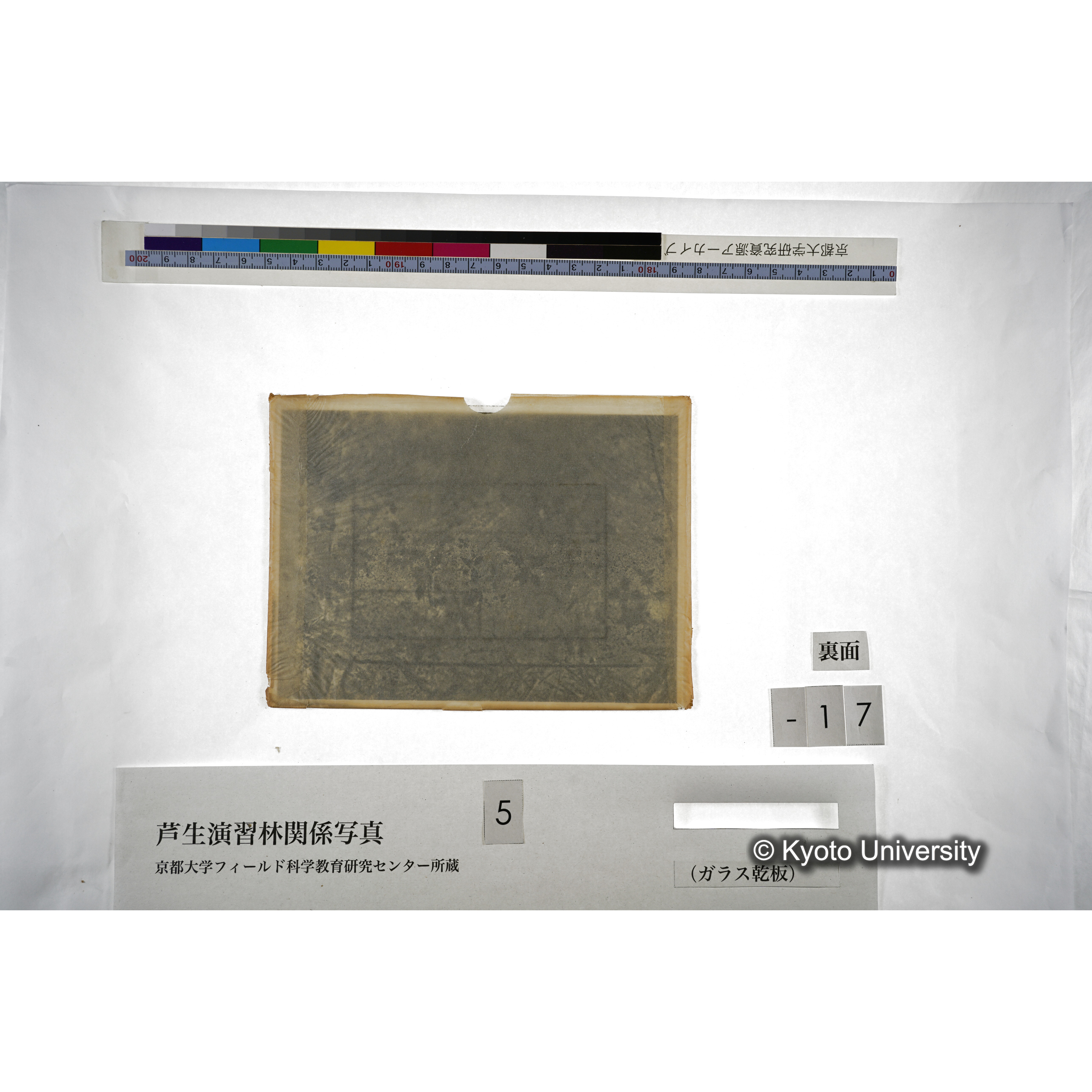 （ガラス乾板芦生柴田3-018） (4)