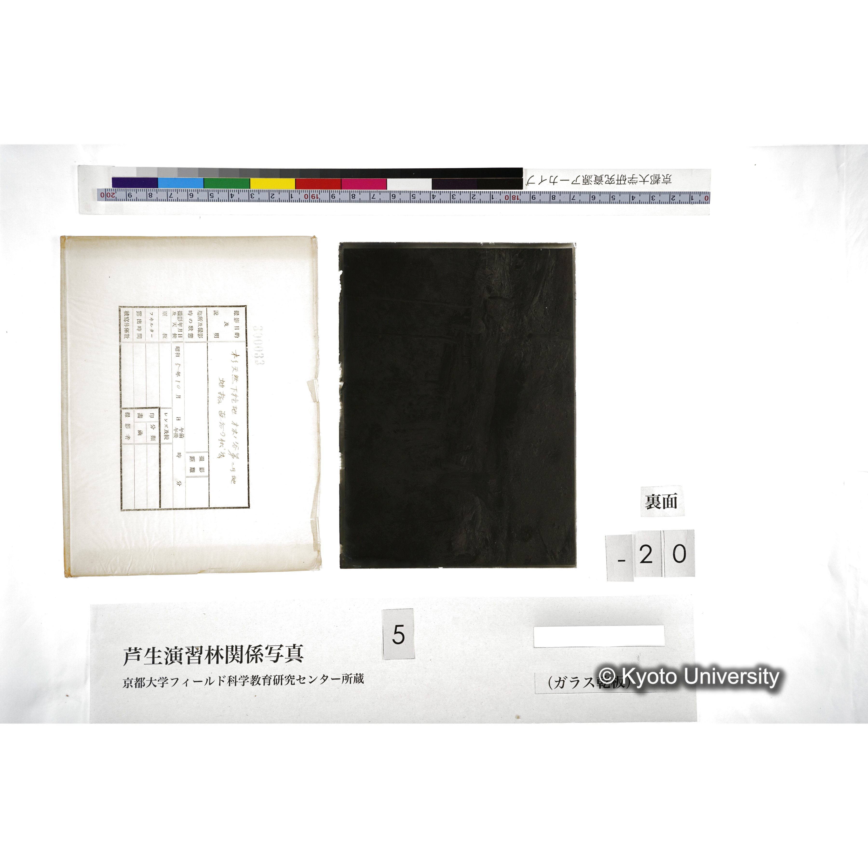 （ガラス乾板芦生柴田3-021） (2)