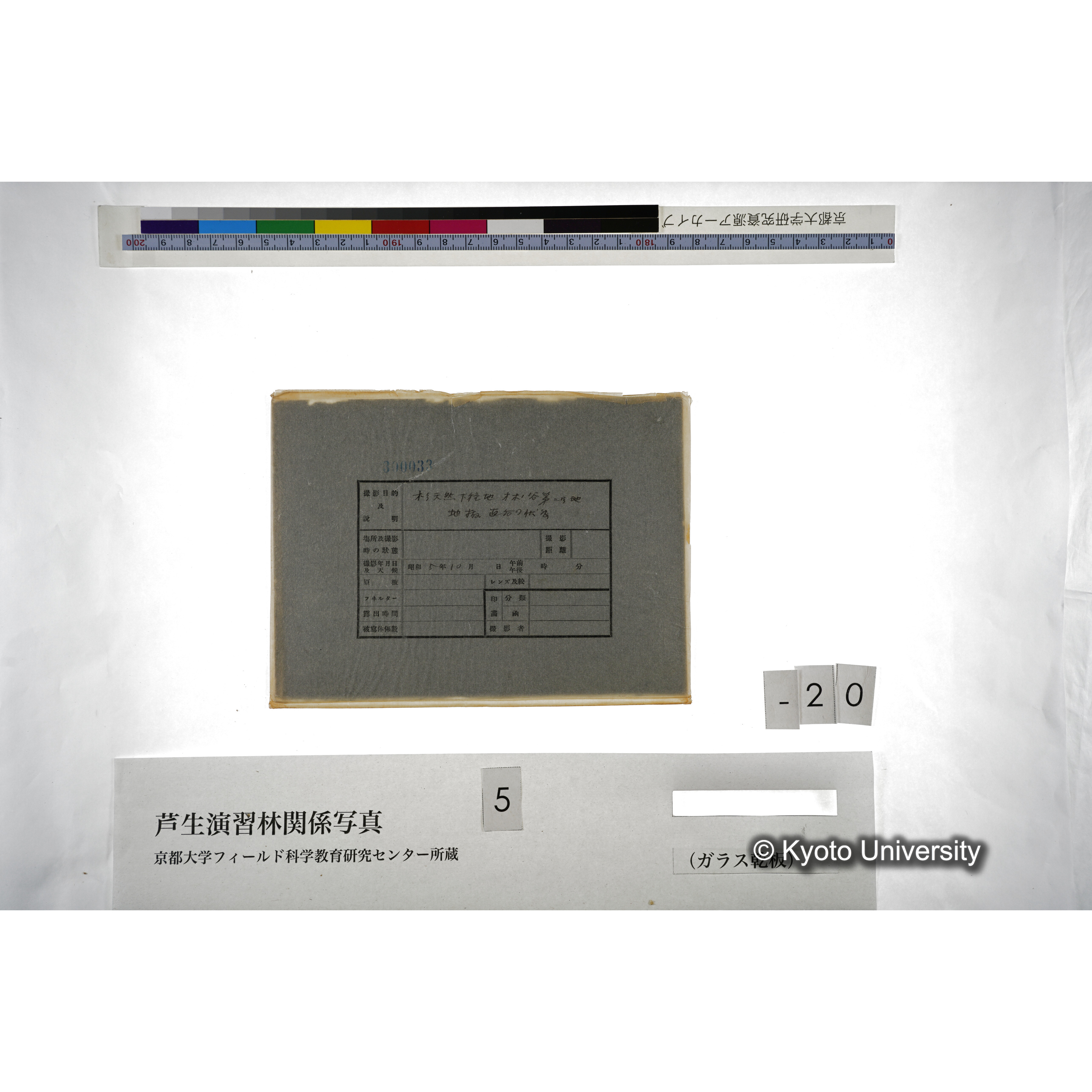 （ガラス乾板芦生柴田3-021） (3)